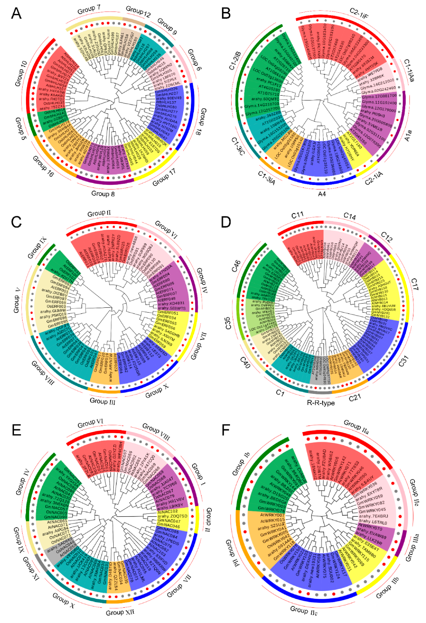 Ijms 21 01921 g004 Ijms 21 01921 g004