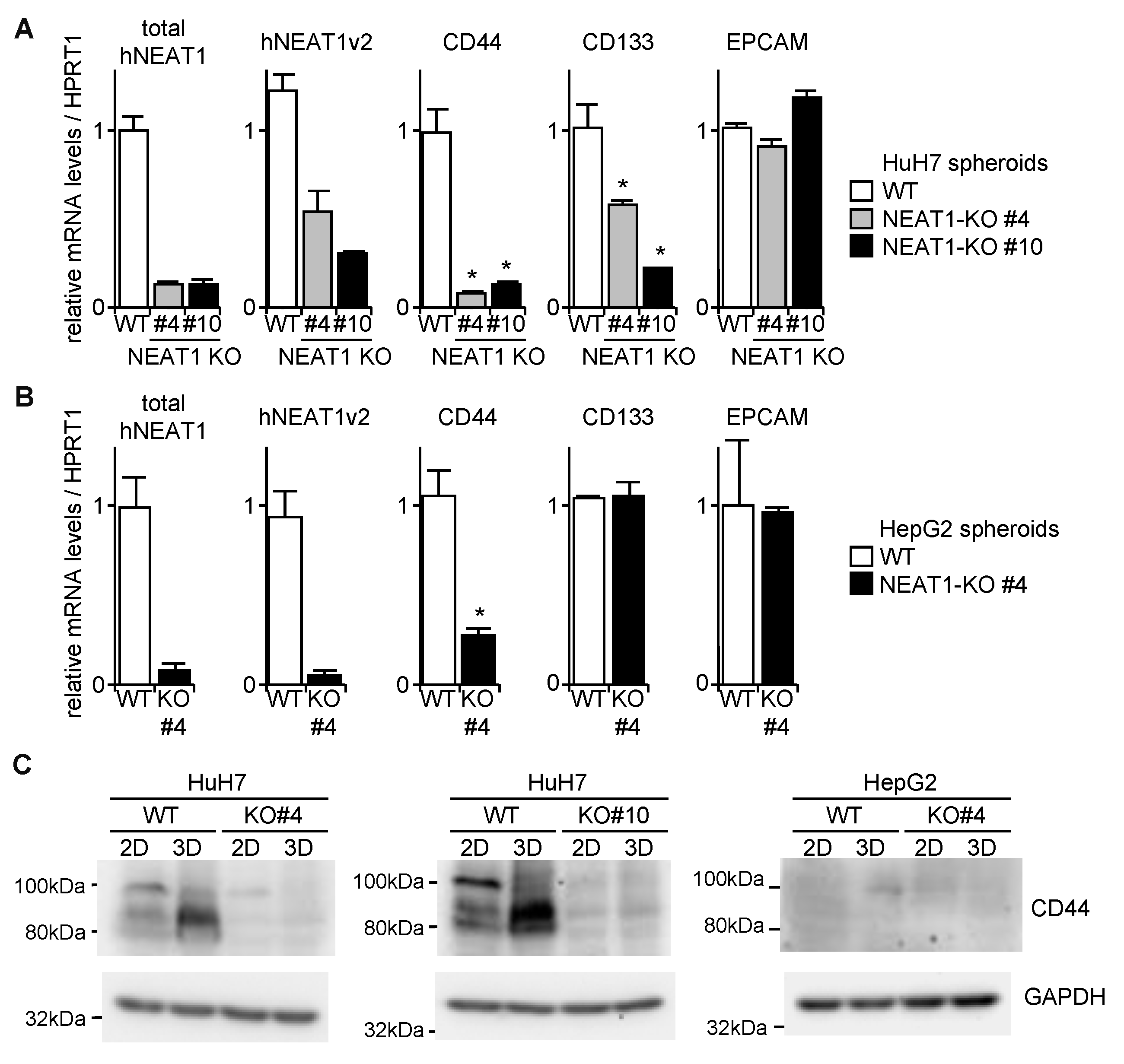 Ijms 21 01927 g005 Ijms 21 01927 g005