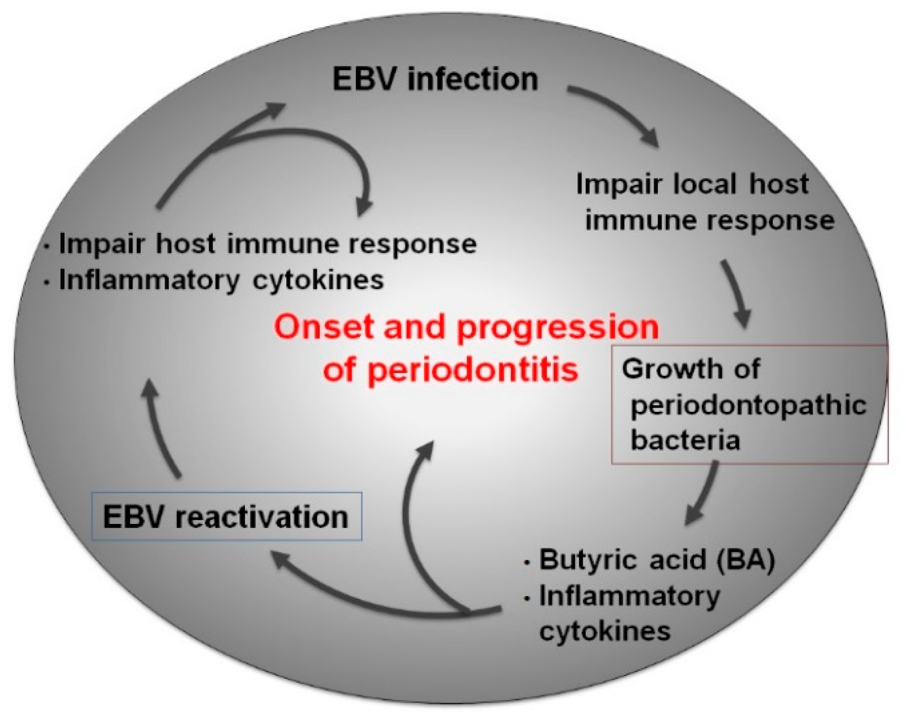 Ijms 21 01940 g003 Ijms 21 01940 g003