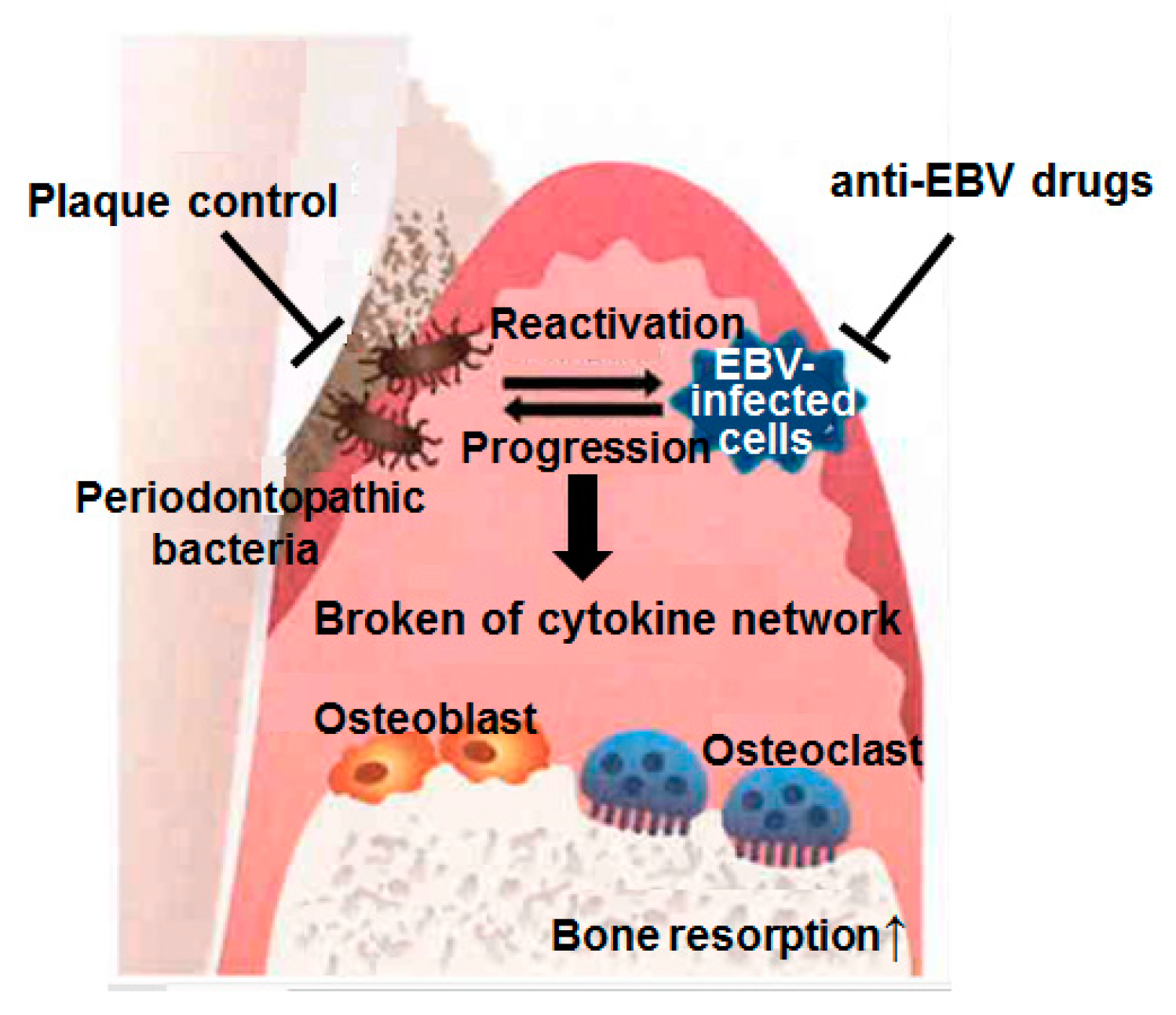 Ijms 21 01940 g004 Ijms 21 01940 g004