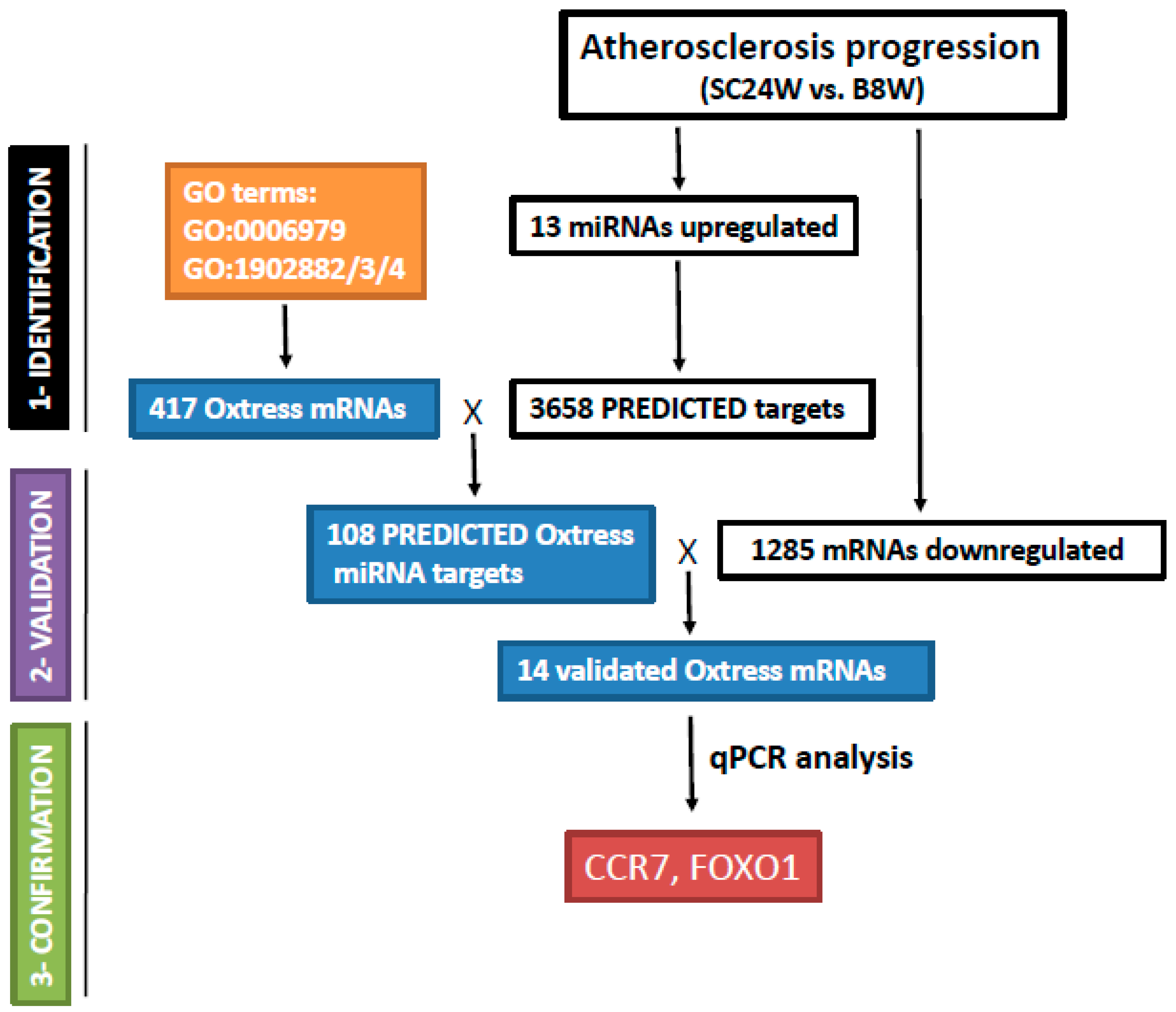 Ijms 21 01943 g001 Ijms 21 01943 g001