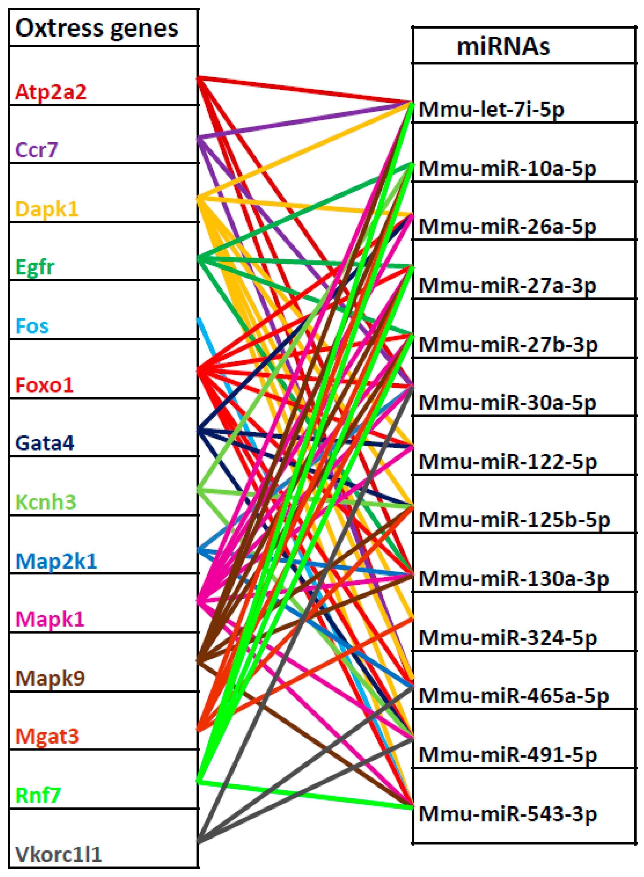 Ijms 21 01943 g002 Ijms 21 01943 g002