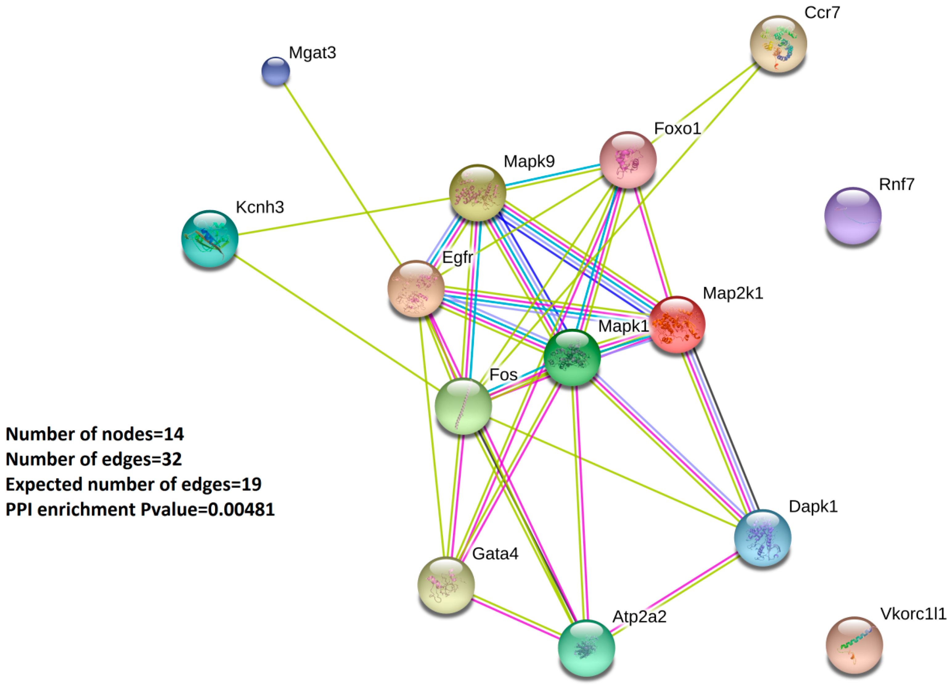 Ijms 21 01943 g003 Ijms 21 01943 g003
