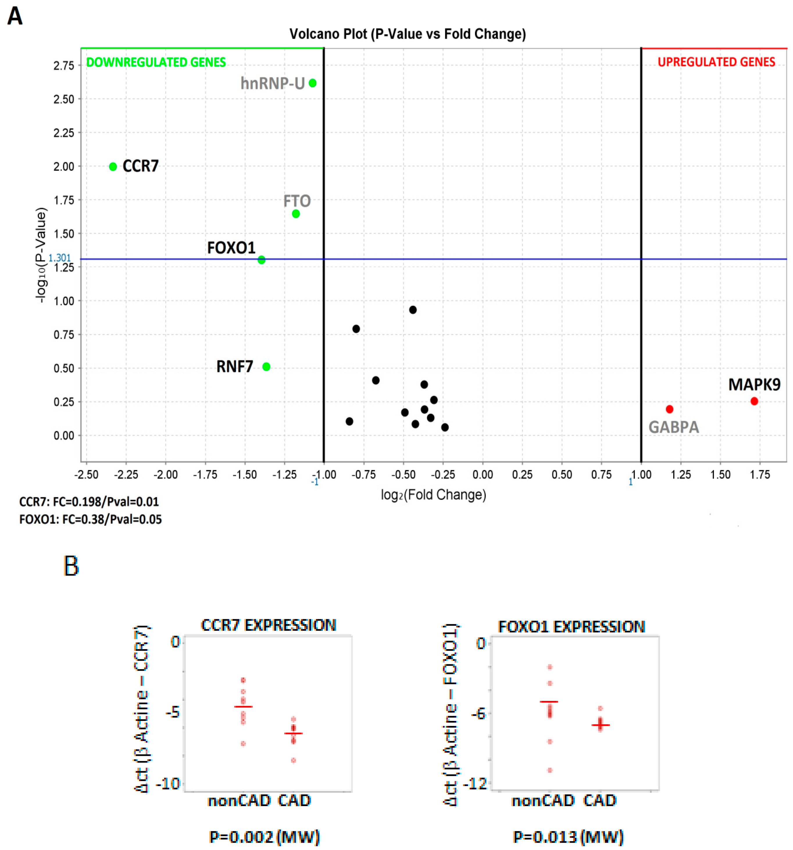 Ijms 21 01943 g004 Ijms 21 01943 g004