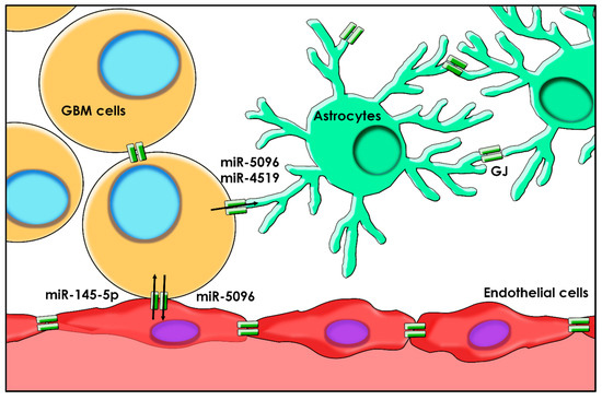 コロン The Roles of miRNA in Glioblastoma Tumor Cell Communication