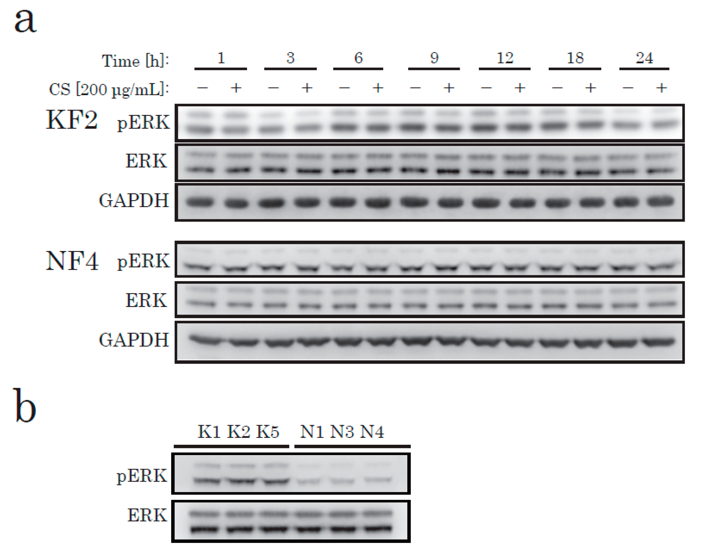 Ijms 21 01955 g002 Ijms 21 01955 g002