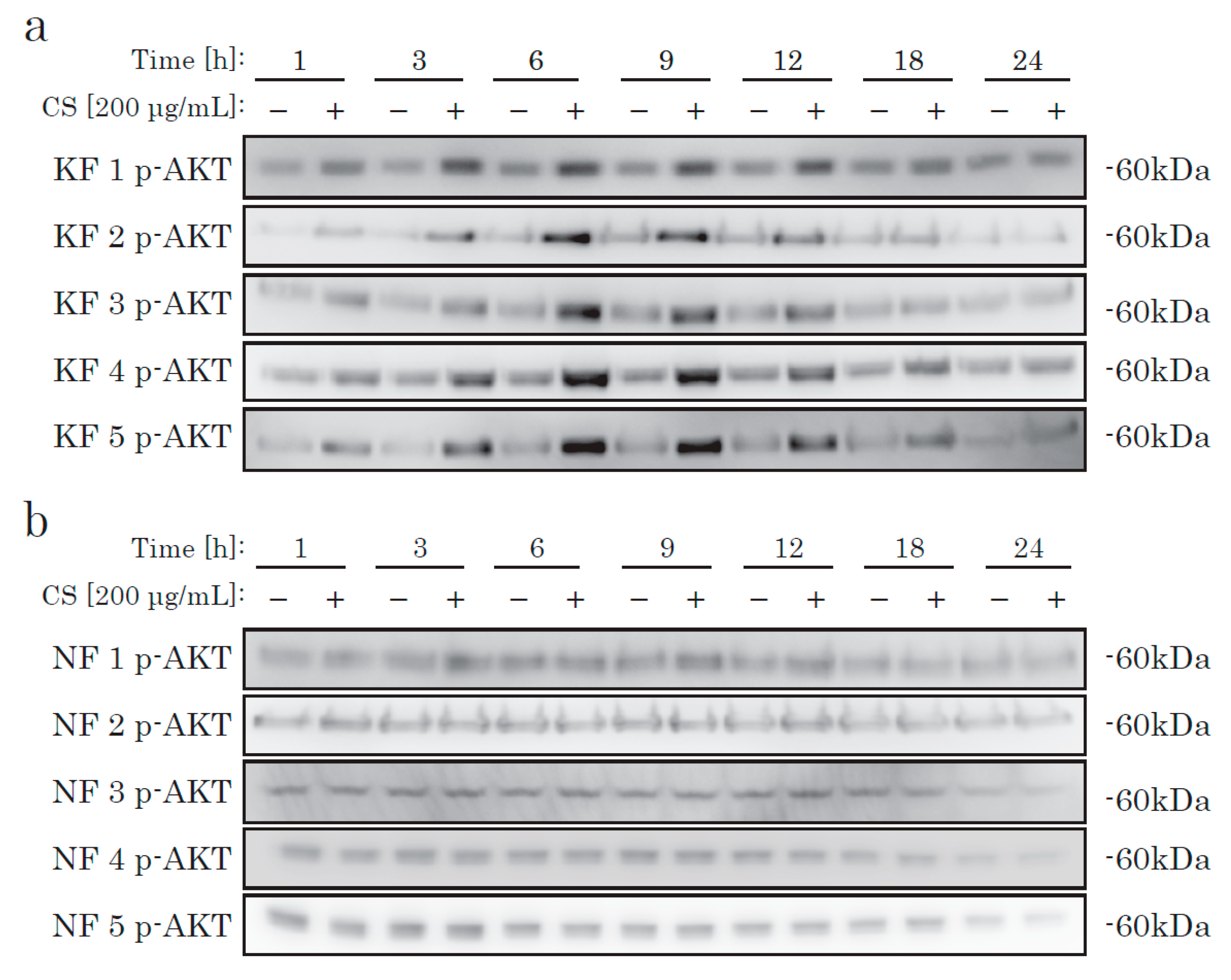 Ijms 21 01955 g003 Ijms 21 01955 g003