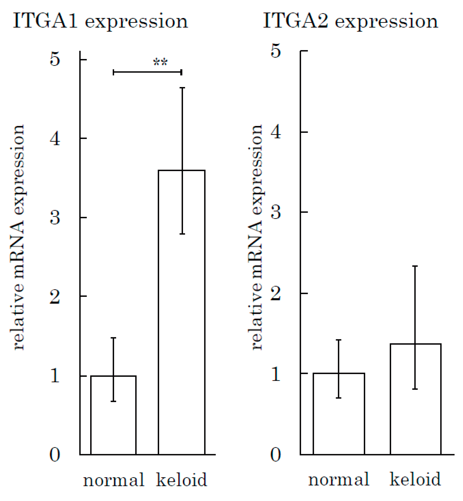 Ijms 21 01955 g007 Ijms 21 01955 g007