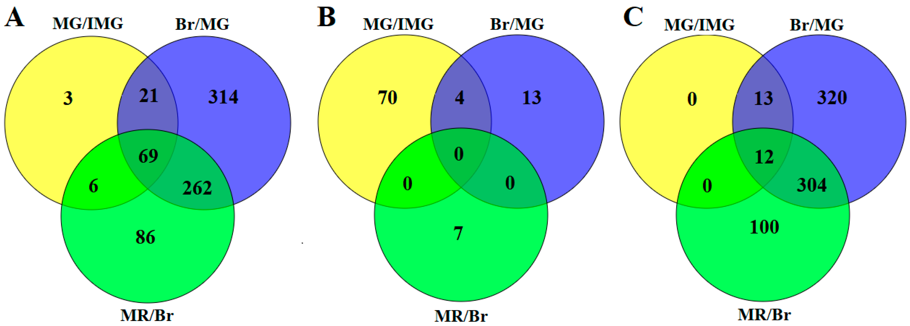 Ijms 21 01962 g002 Ijms 21 01962 g002