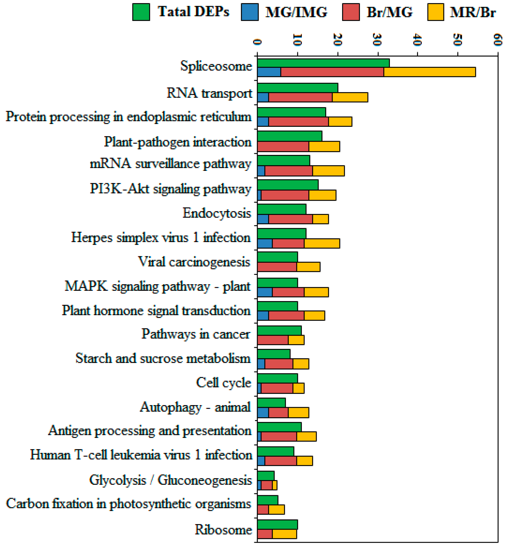 Ijms 21 01962 g006 Ijms 21 01962 g006