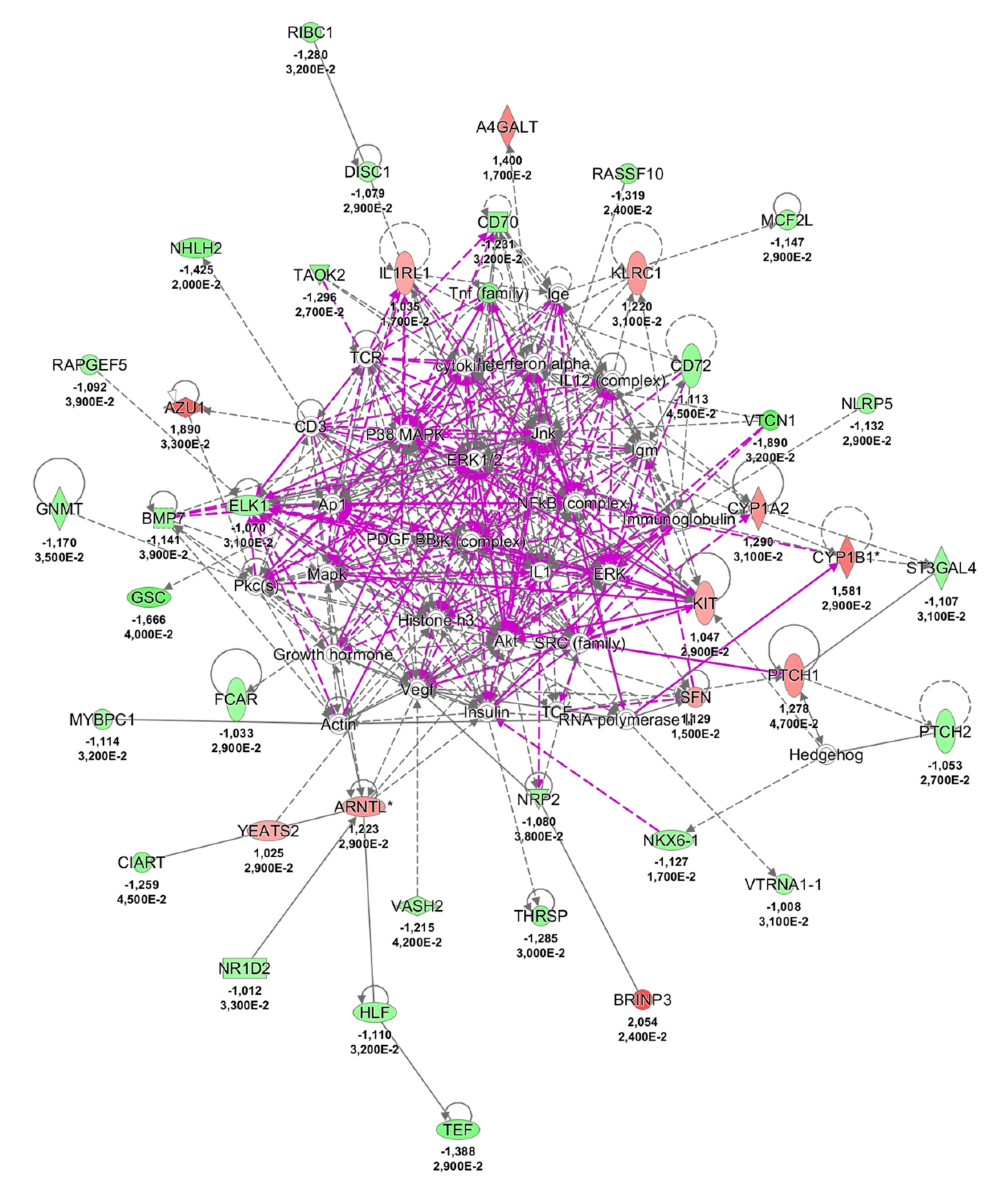 Ijms 21 01969 g004 Ijms 21 01969 g004