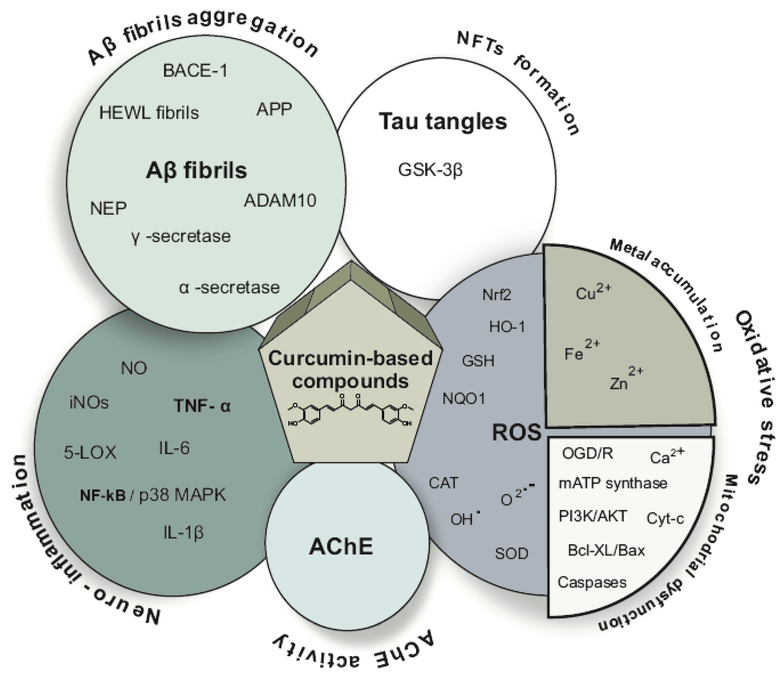Ijms 21 01975 g018 Ijms 21 01975 g018