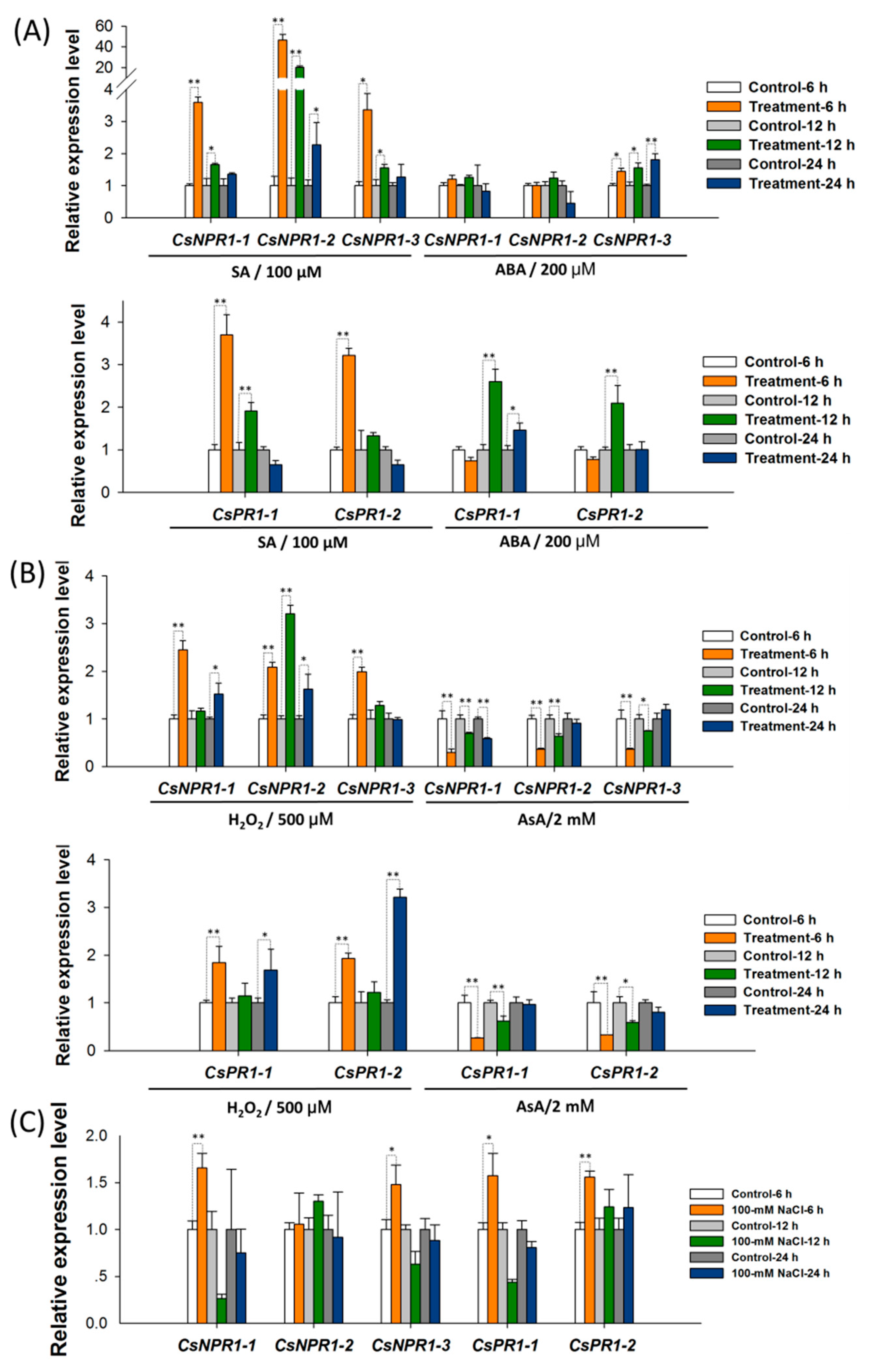 Ijms 21 01977 g005 Ijms 21 01977 g005