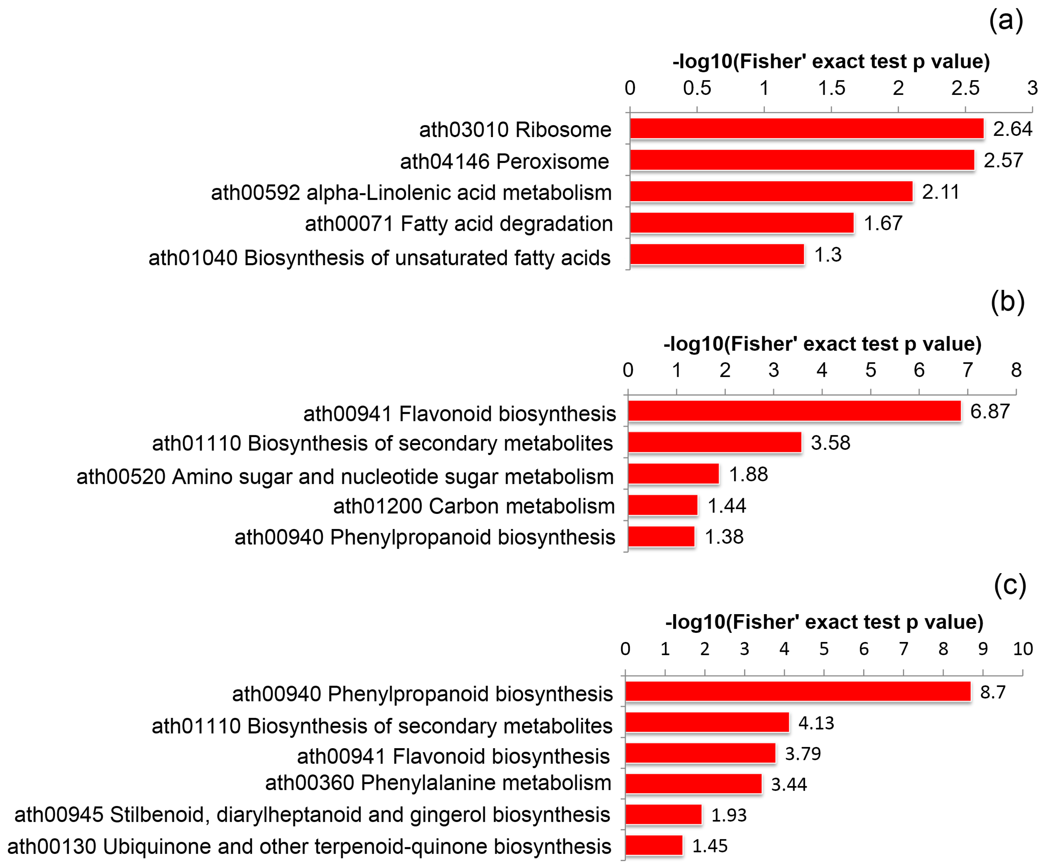 Ijms 21 01987 g003 Ijms 21 01987 g003