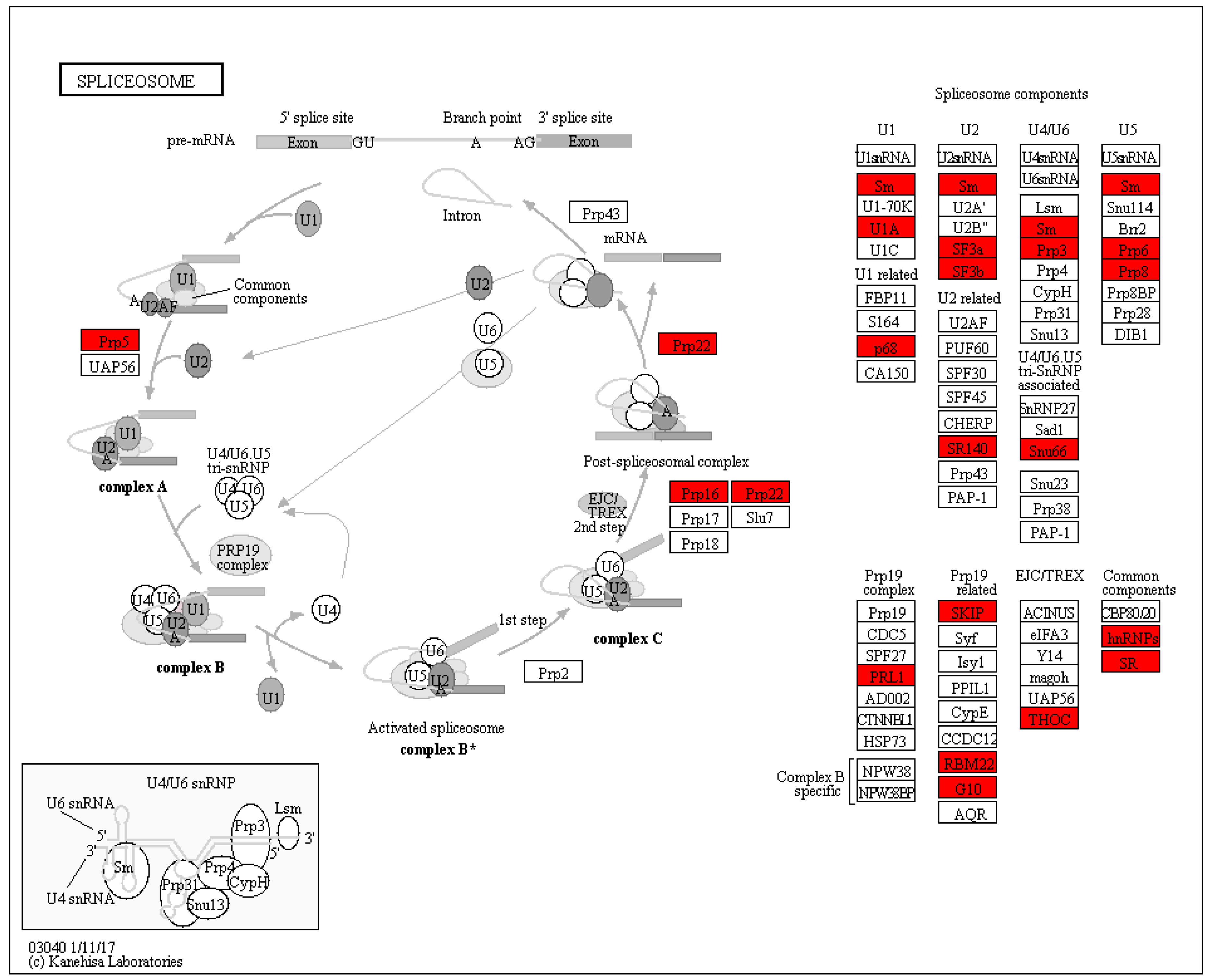 Ijms 21 01987 g006 Ijms 21 01987 g006