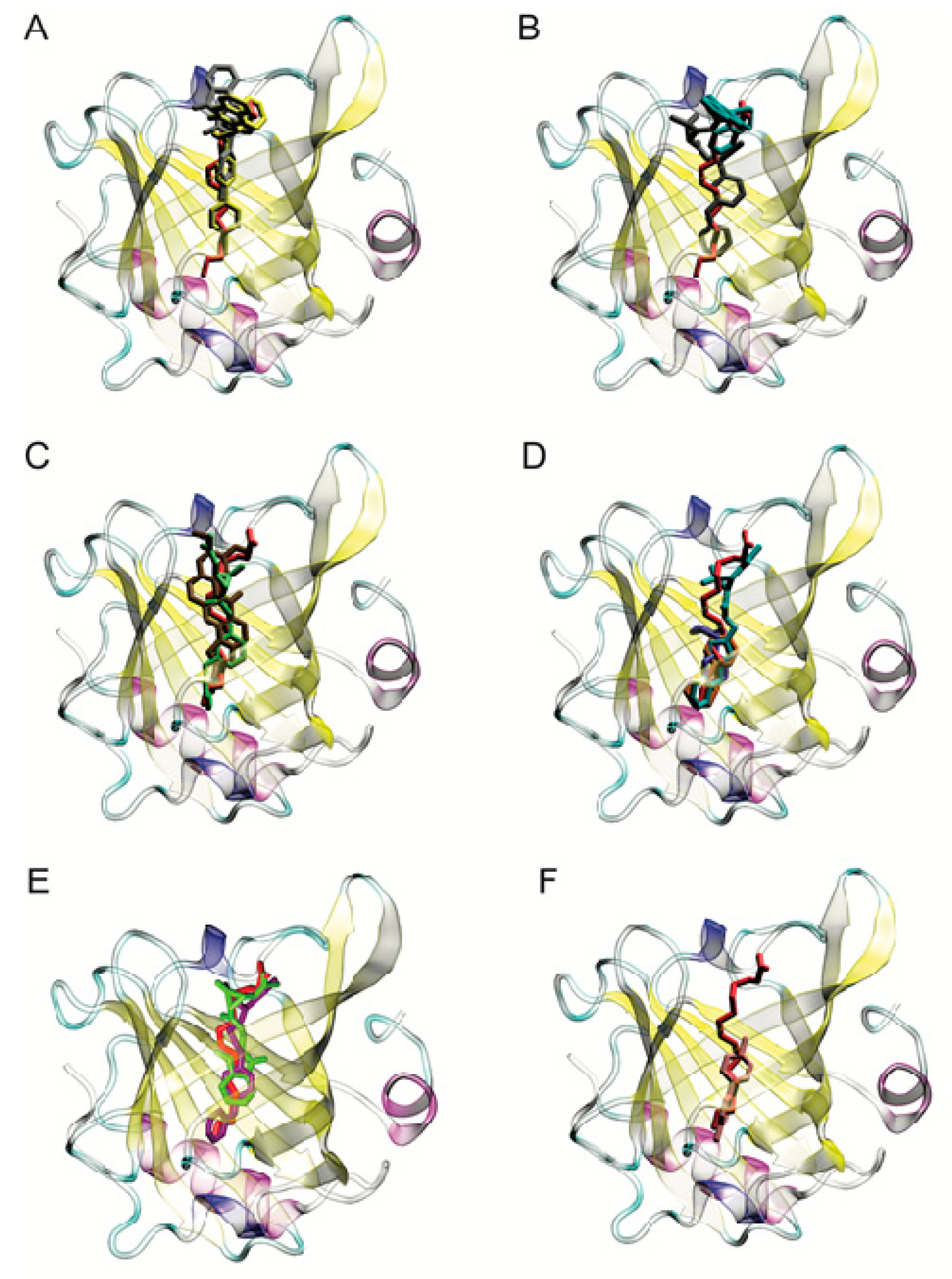 Ijms 21 01988 g003 Ijms 21 01988 g003