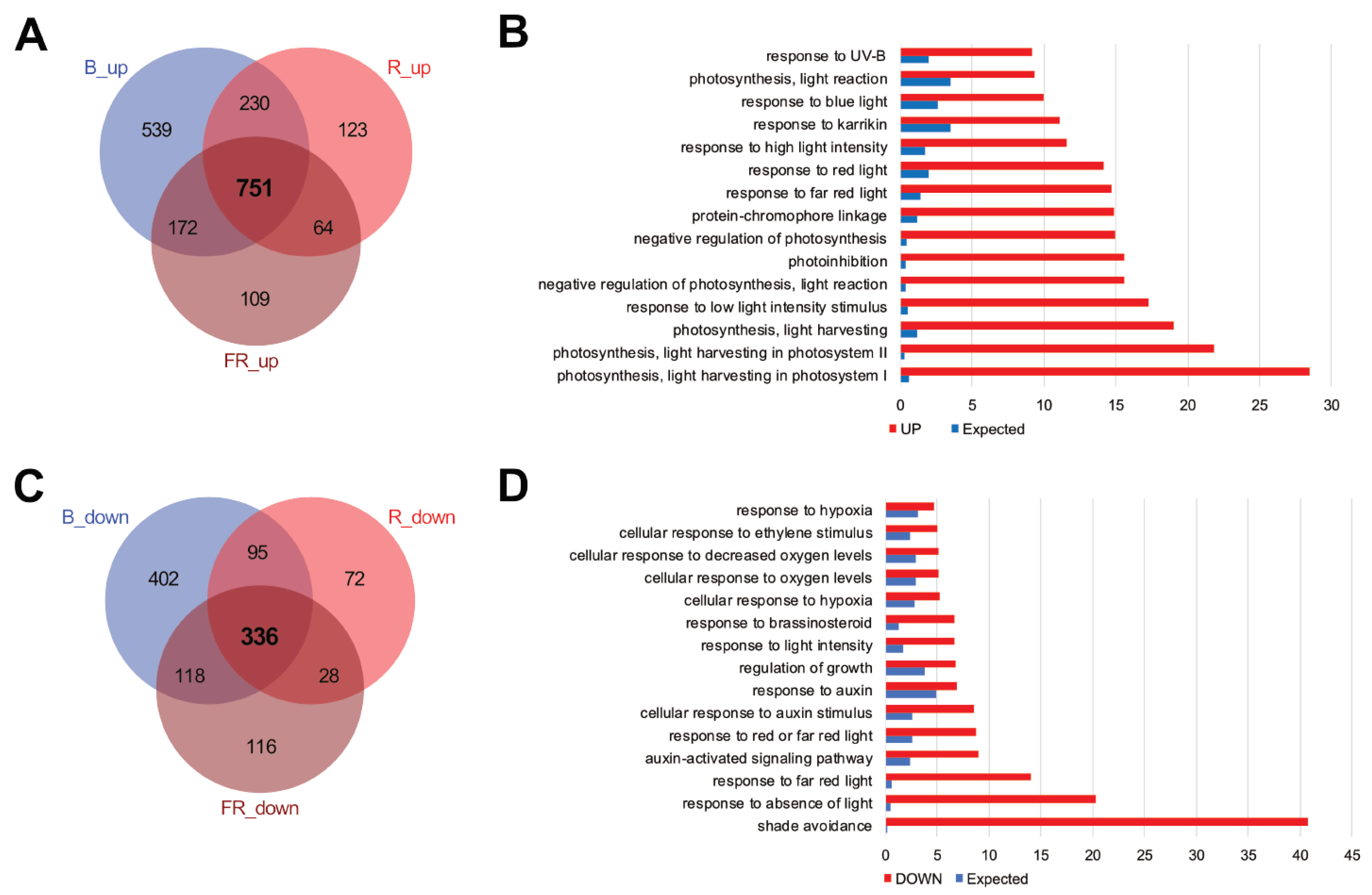 Ijms 21 01993 g002 Ijms 21 01993 g002