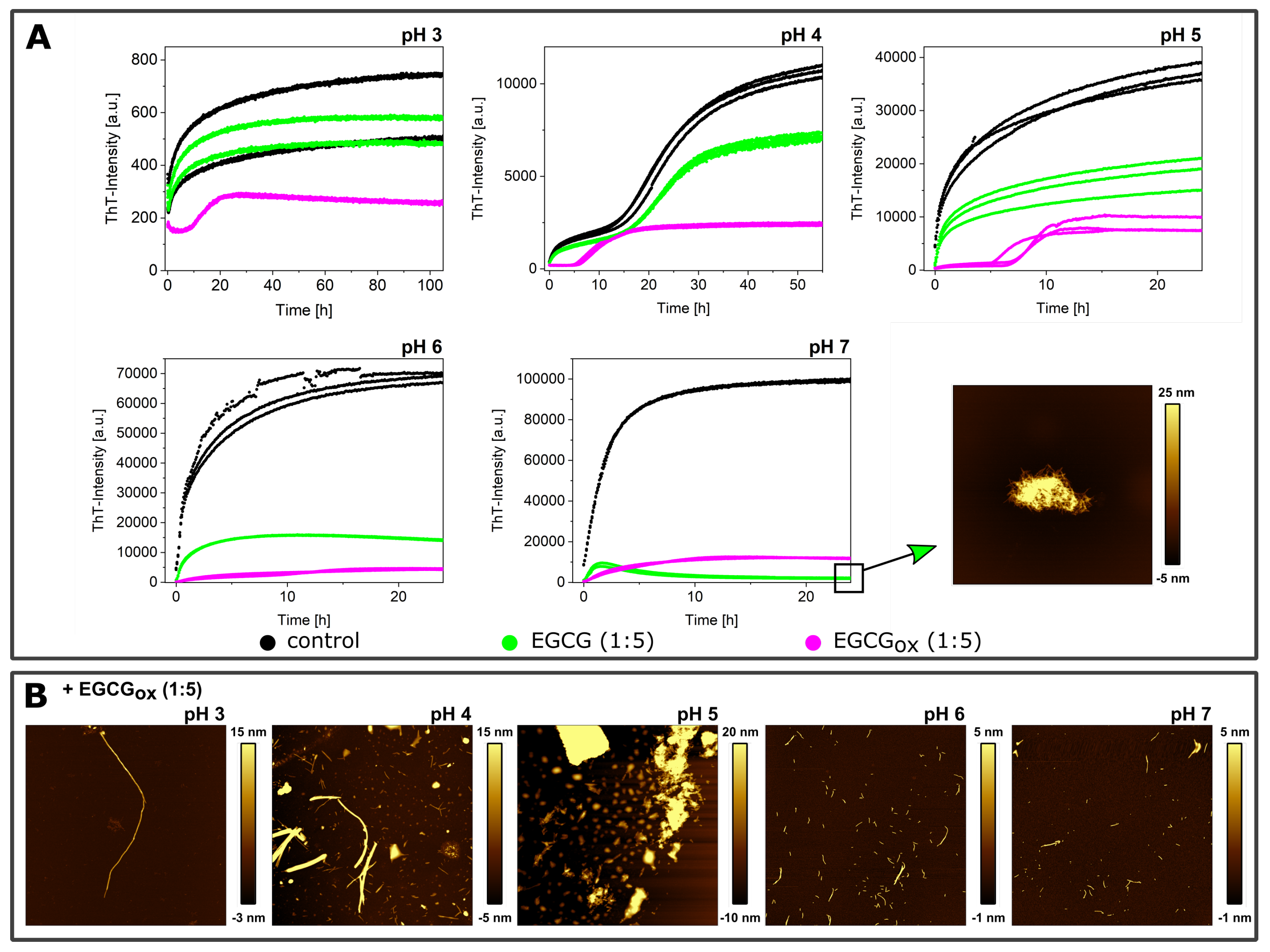 IJMS | Free Full-Text | The Aggregation Conditions Define Whether 