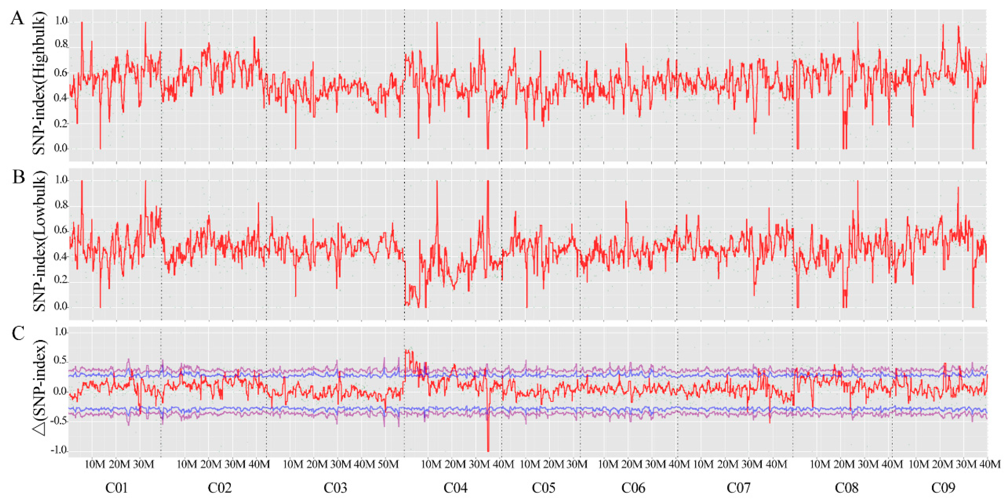 Ijms 21 01999 g002 Ijms 21 01999 g002