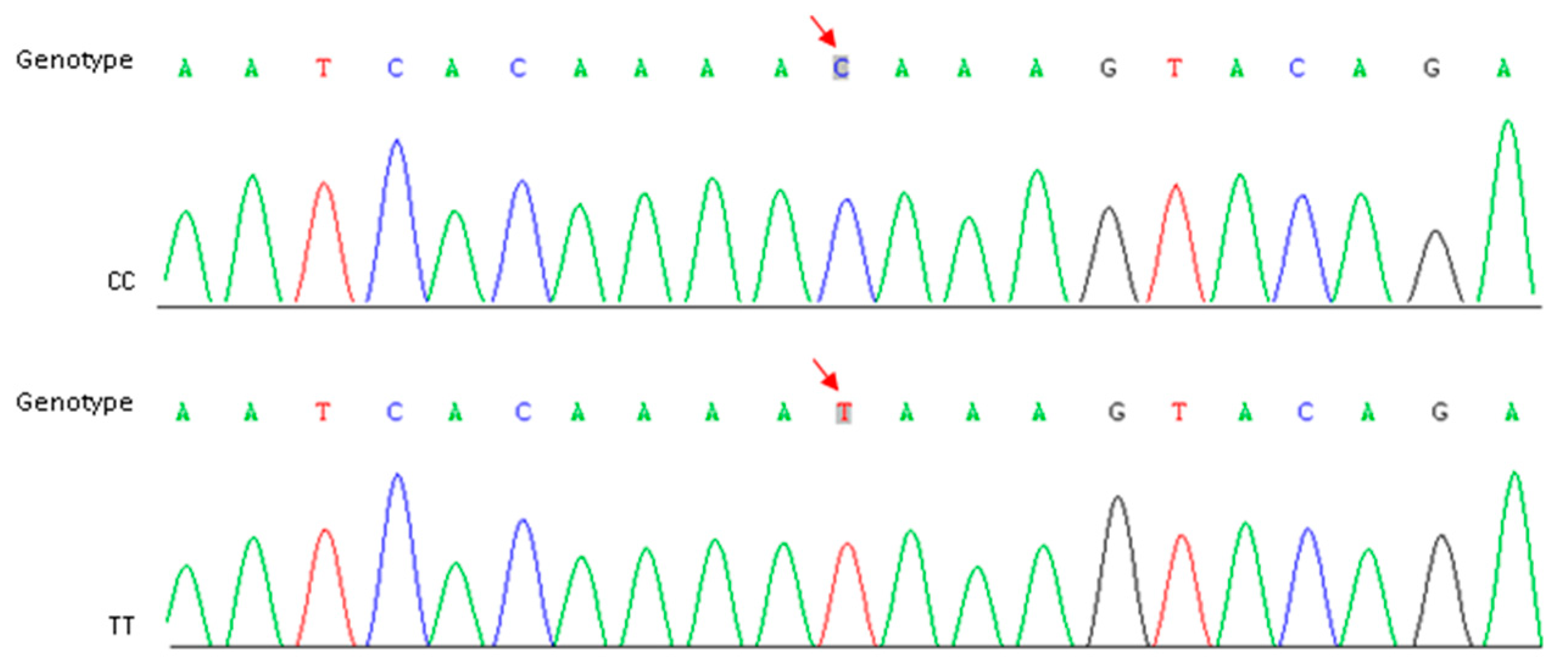 Ijms 21 01999 g004 Ijms 21 01999 g004