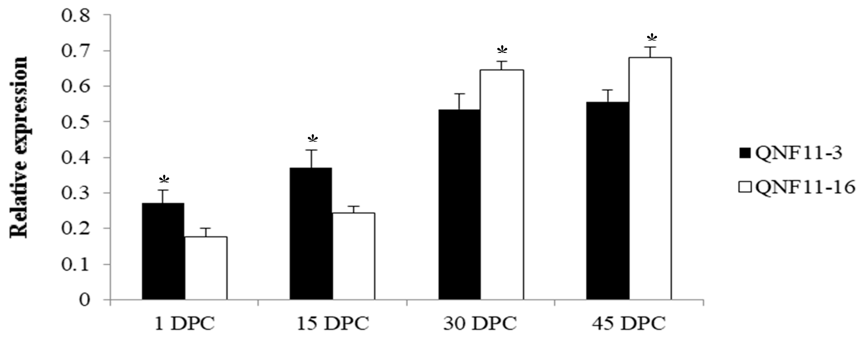 Ijms 21 01999 g005 Ijms 21 01999 g005