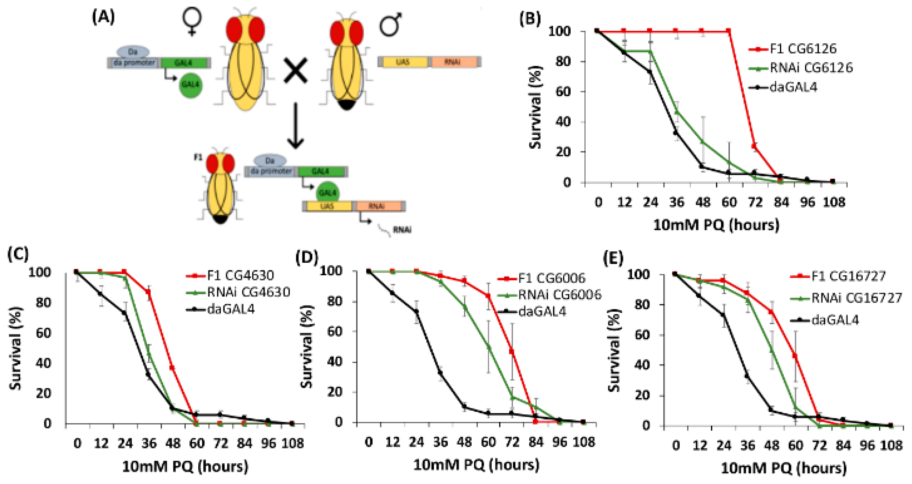 Ijms 21 02002 g002 Ijms 21 02002 g002