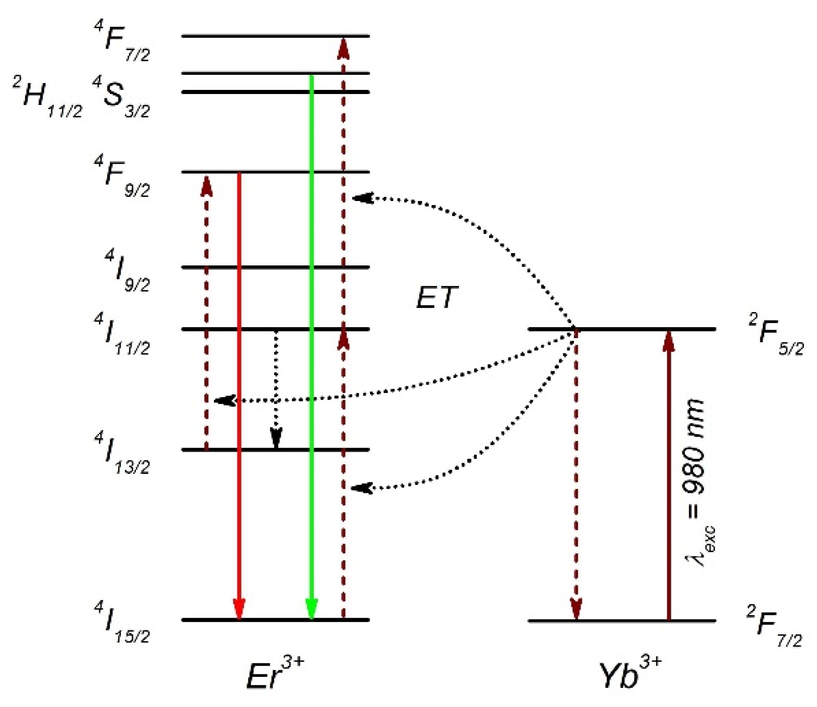 Ijms 21 02006 g003 Ijms 21 02006 g003