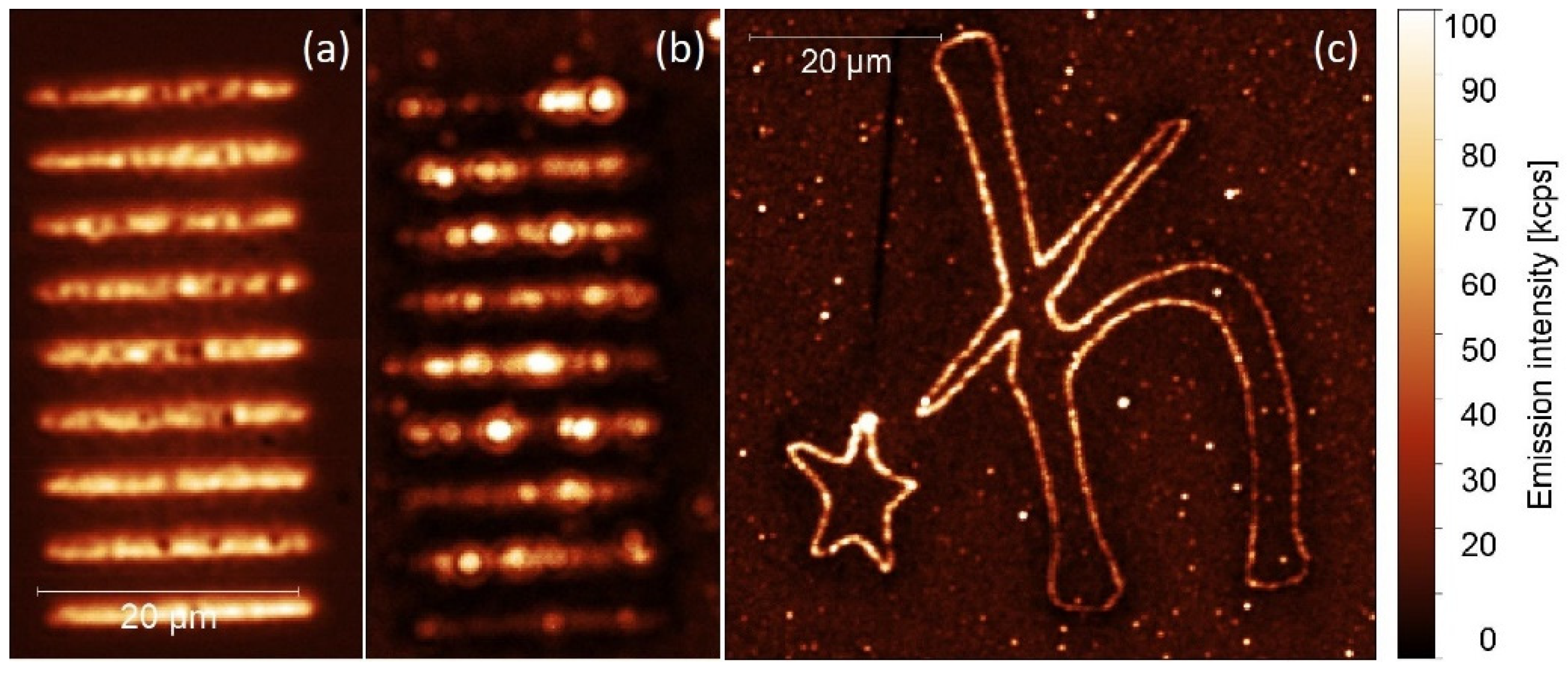 Ijms 21 02006 g005 Ijms 21 02006 g005