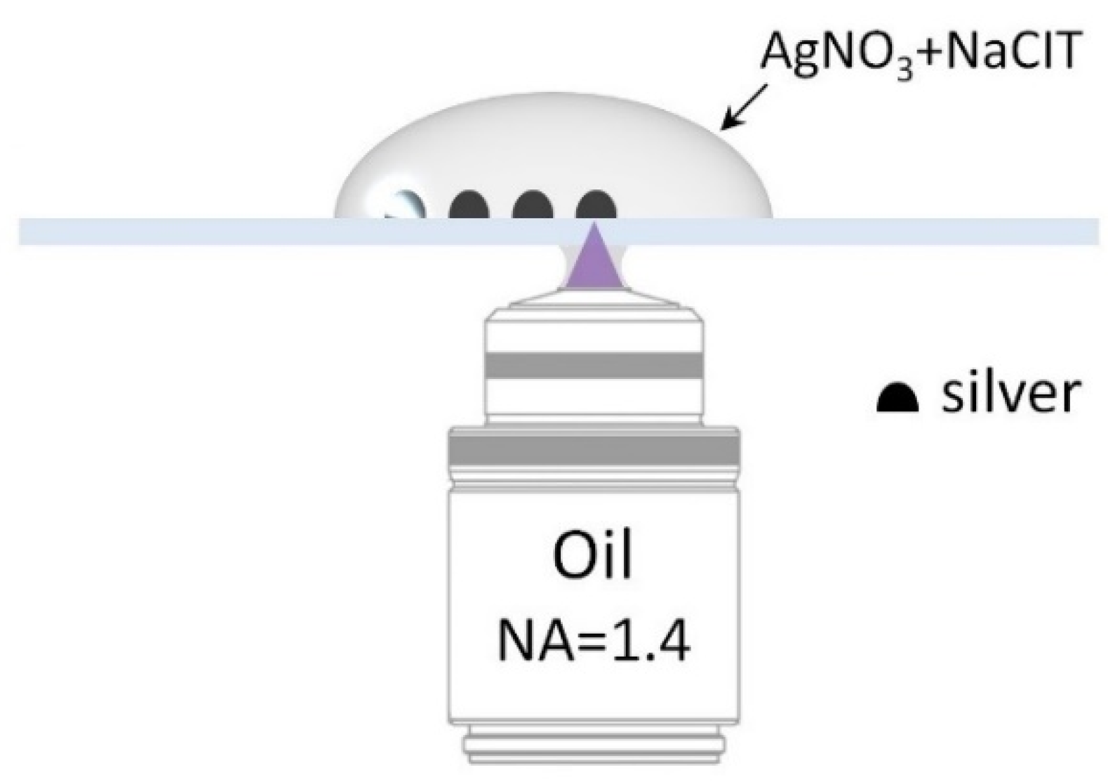 Ijms 21 02006 g006 Ijms 21 02006 g006