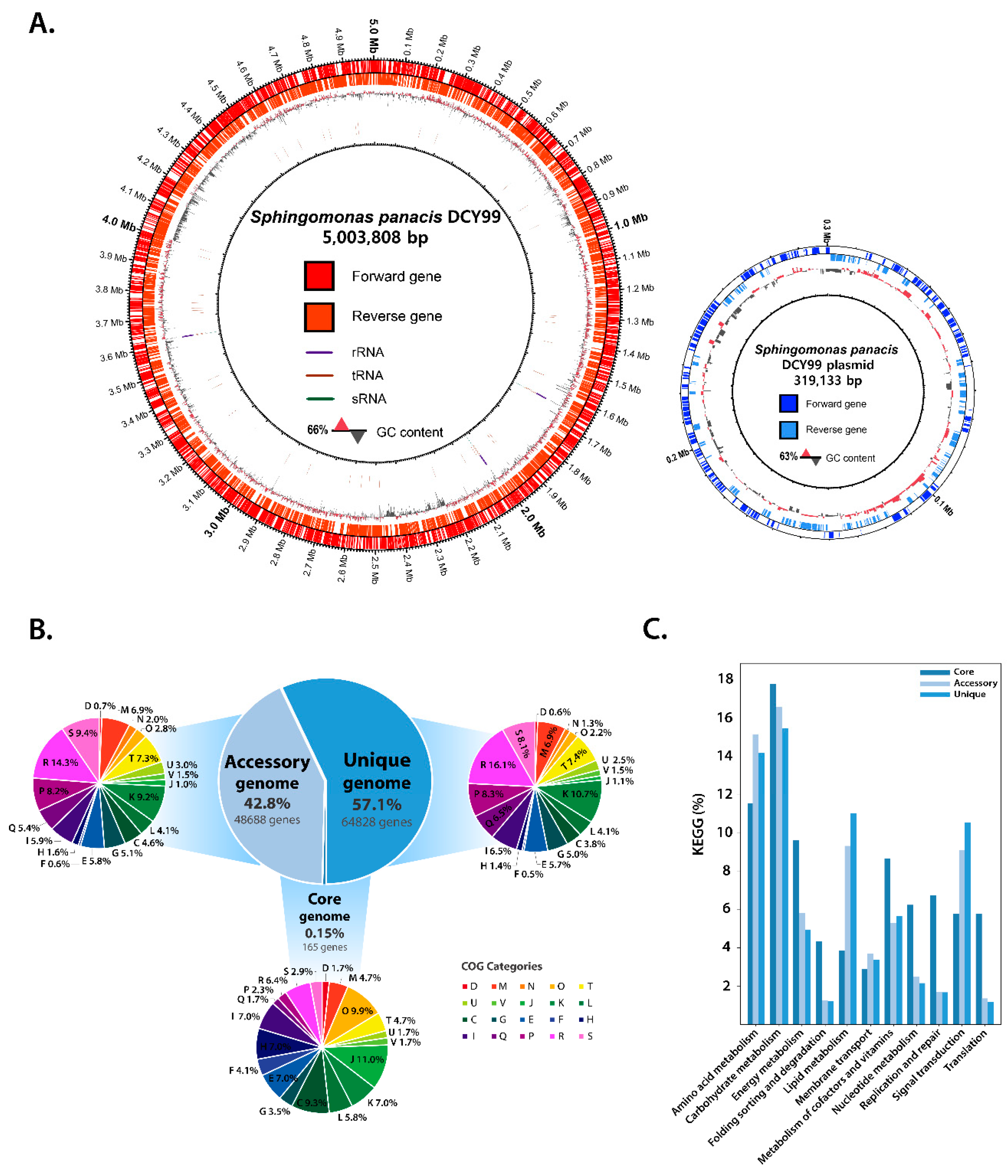 Ijms 21 02019 g001 Ijms 21 02019 g001
