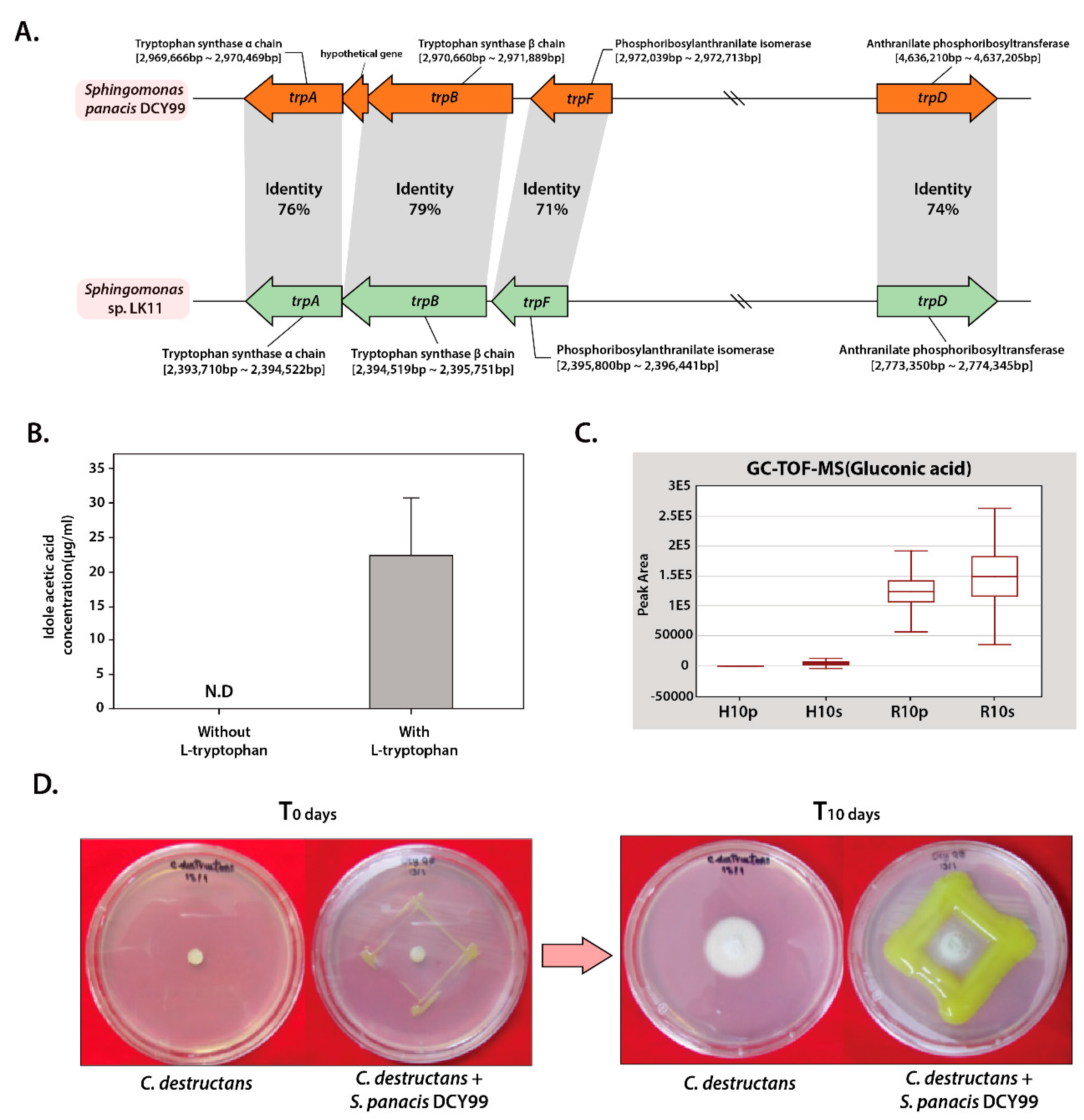Ijms 21 02019 g002 Ijms 21 02019 g002