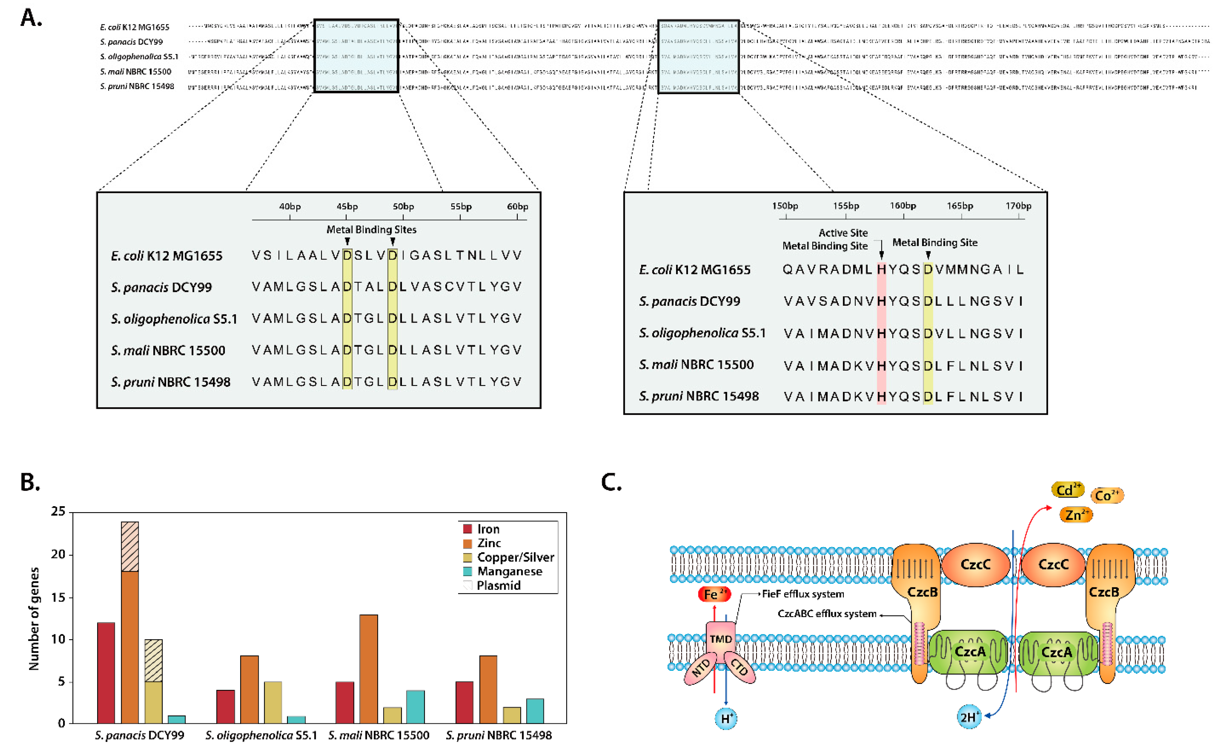 Ijms 21 02019 g003 Ijms 21 02019 g003