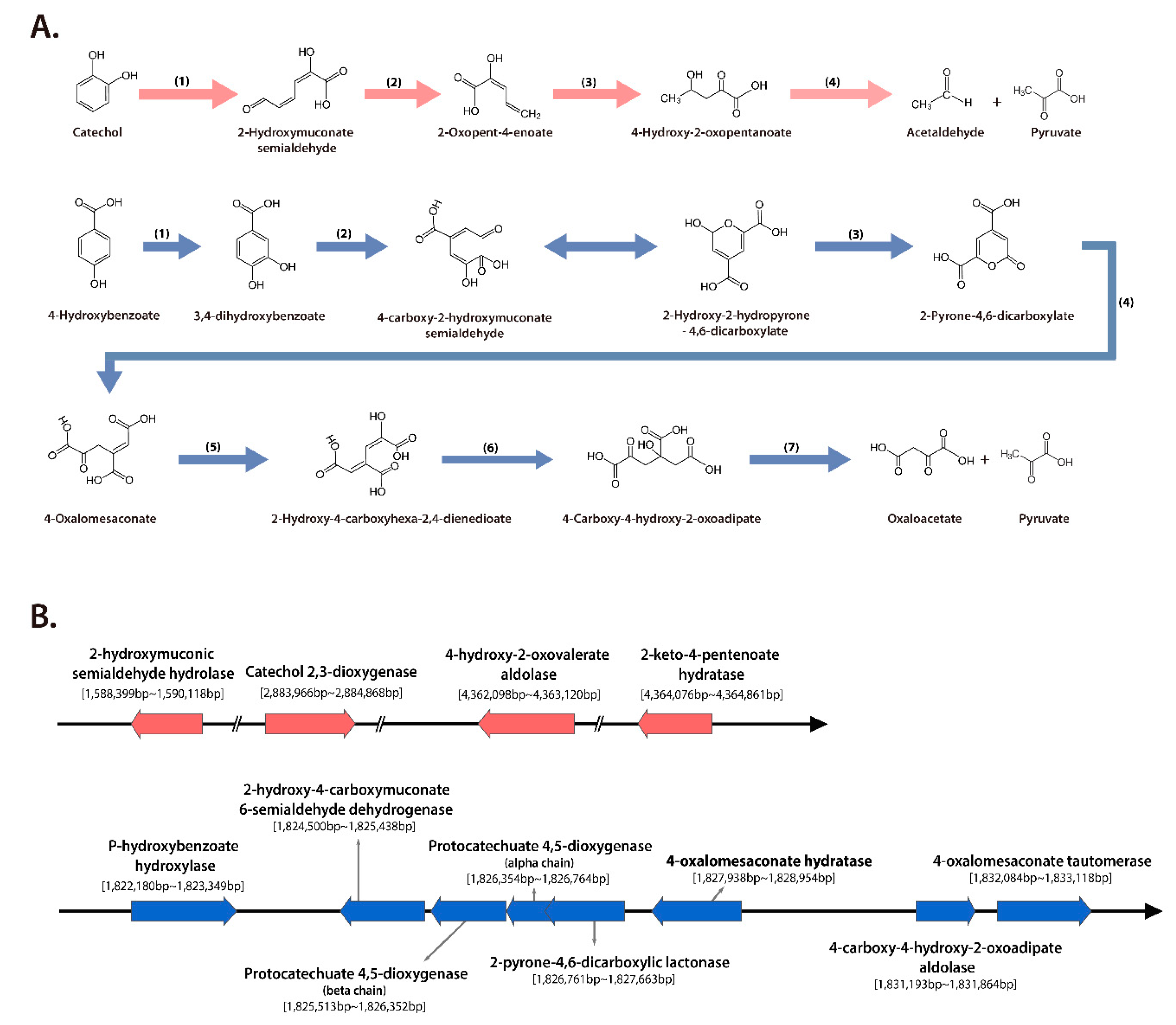 Ijms 21 02019 g005 Ijms 21 02019 g005
