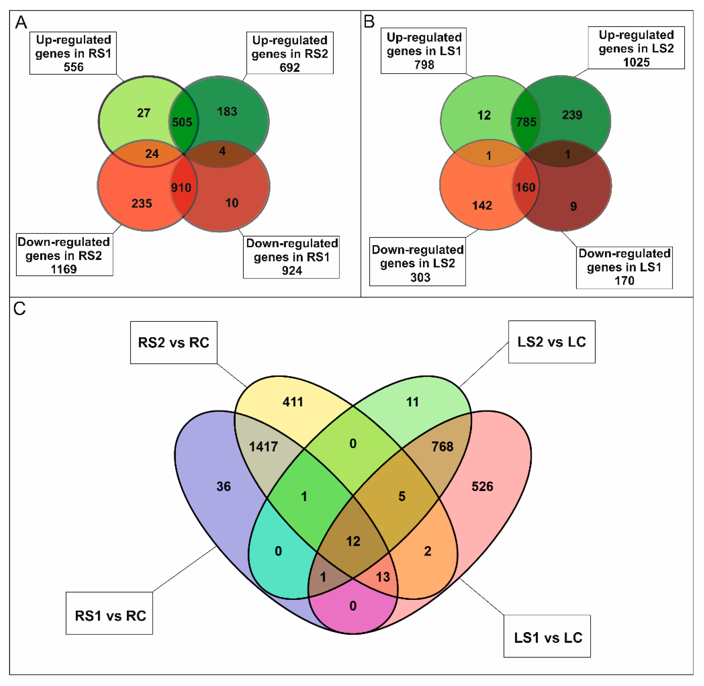 Ijms 21 02042 g002 Ijms 21 02042 g002