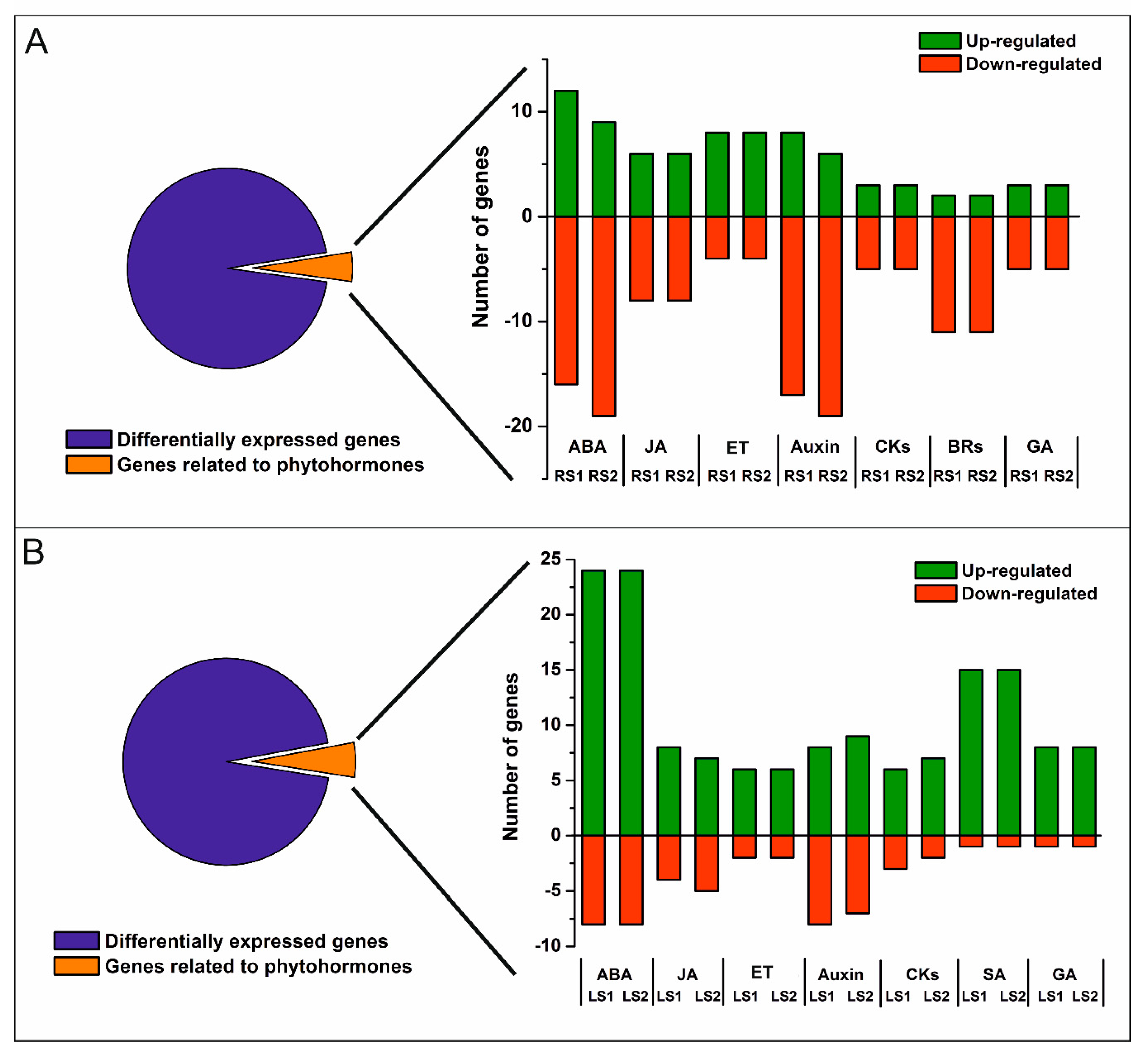 Ijms 21 02042 g003 Ijms 21 02042 g003