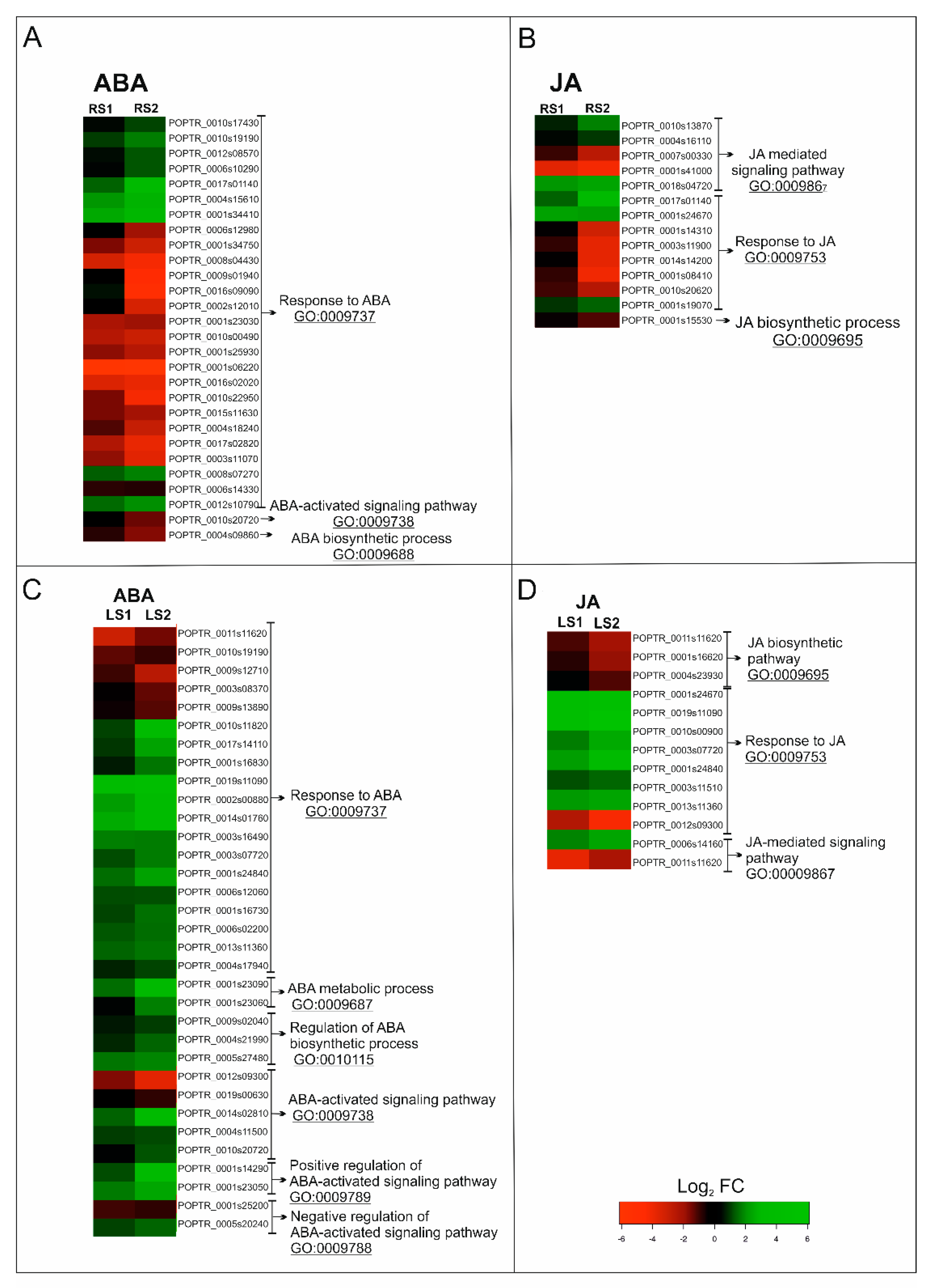 Ijms 21 02042 g004 Ijms 21 02042 g004