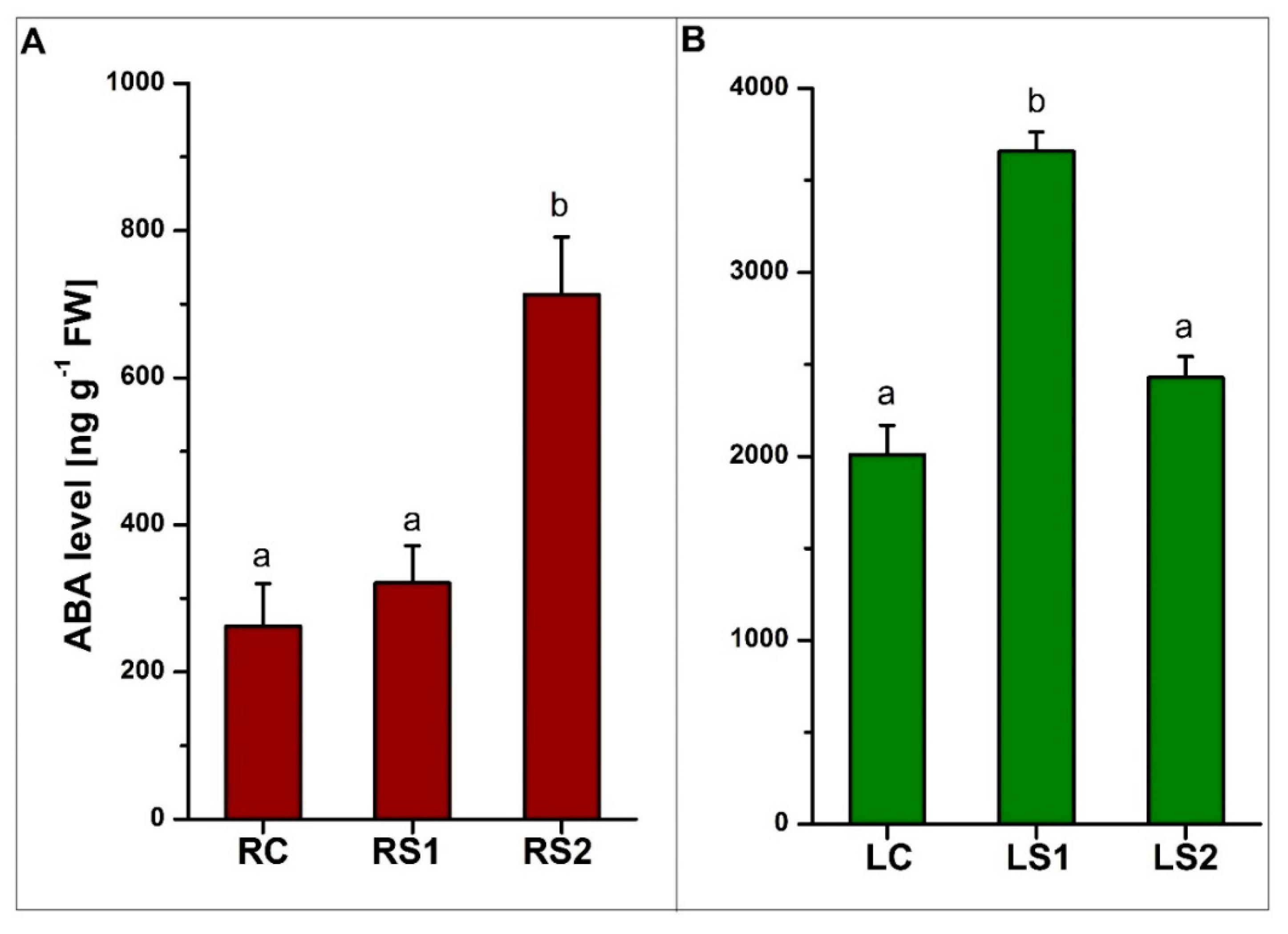 Ijms 21 02042 g005 Ijms 21 02042 g005