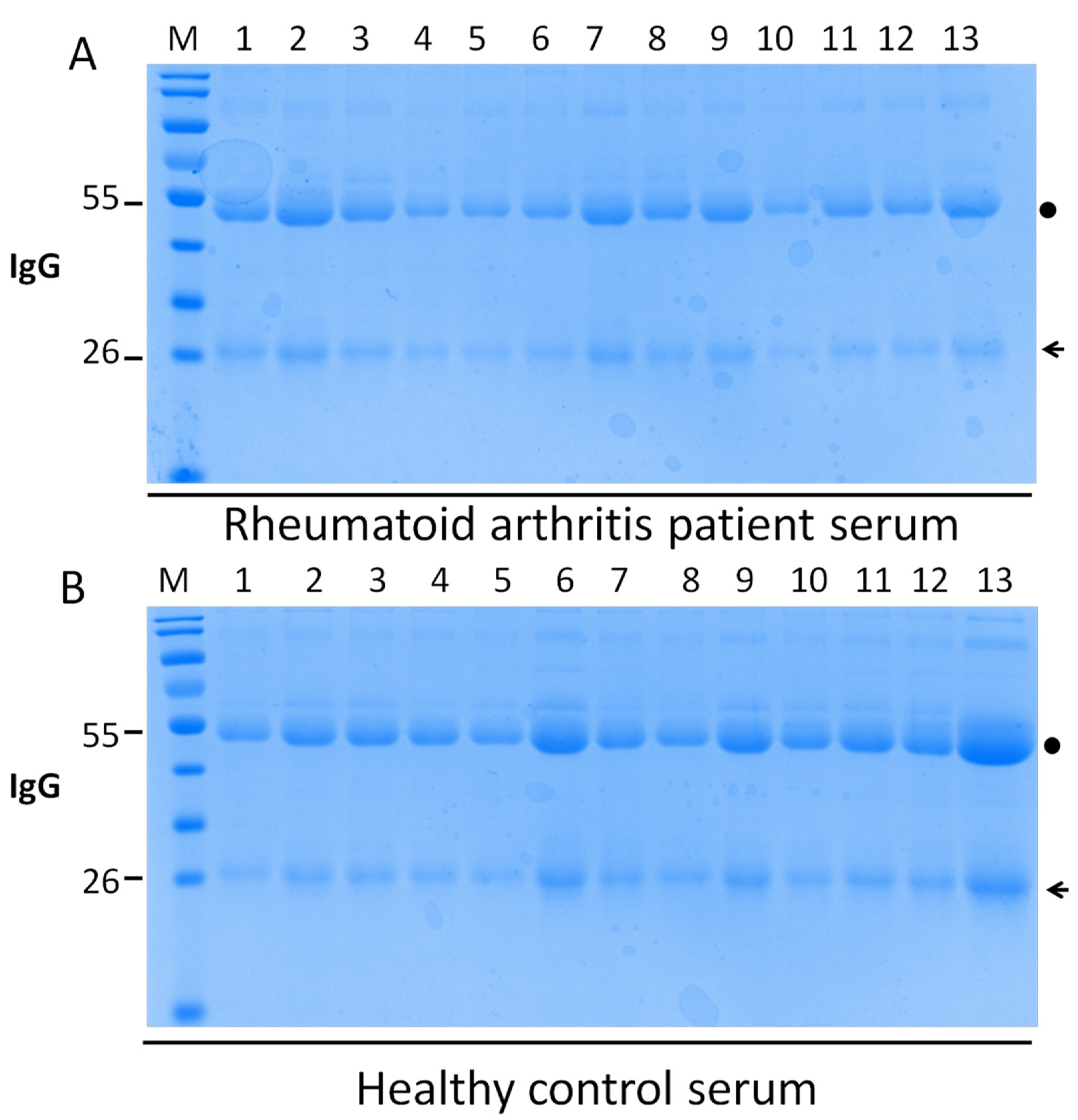Ijms 21 02045 g001 Ijms 21 02045 g001
