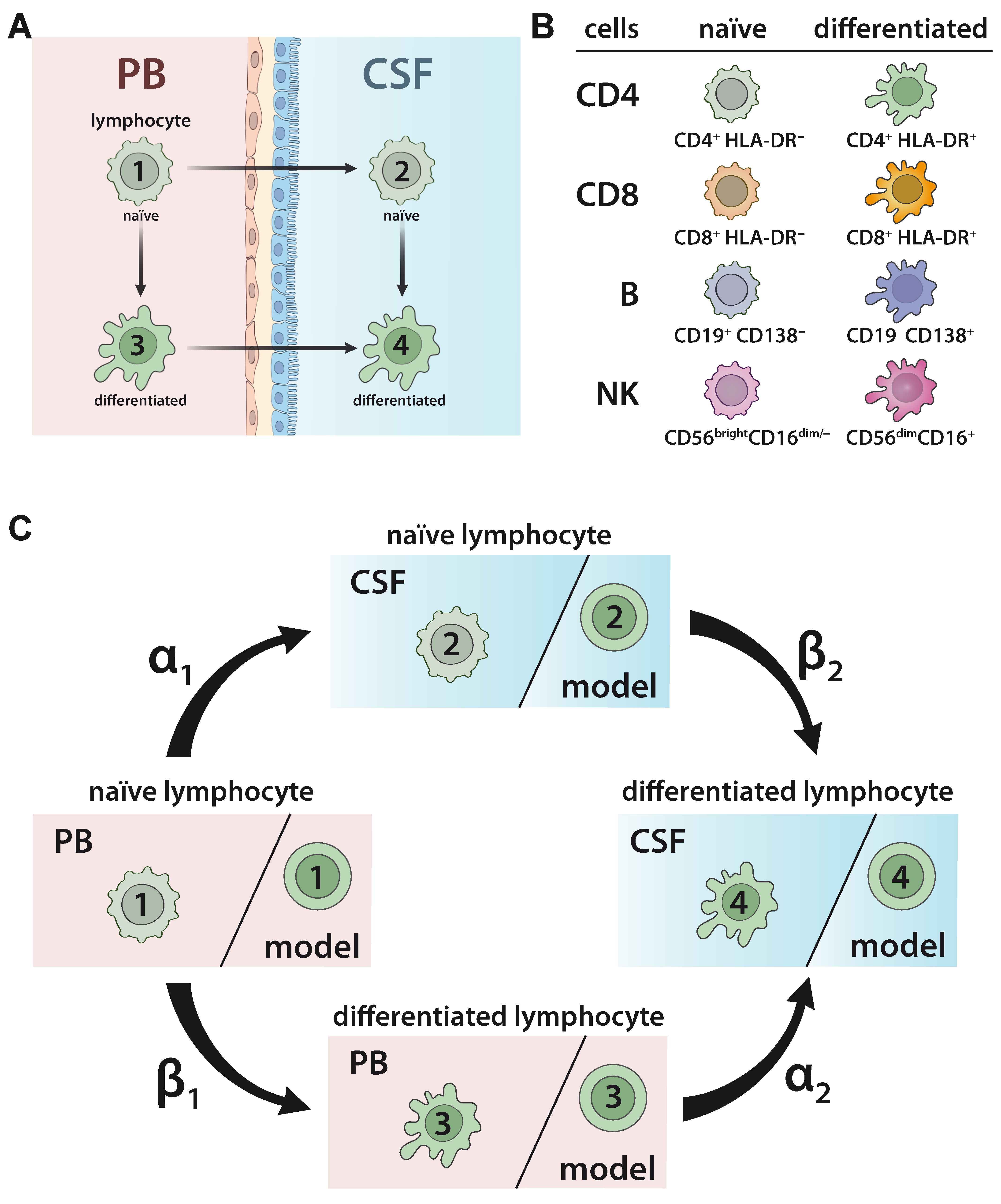 Ijms 21 02046 g001 Ijms 21 02046 g001
