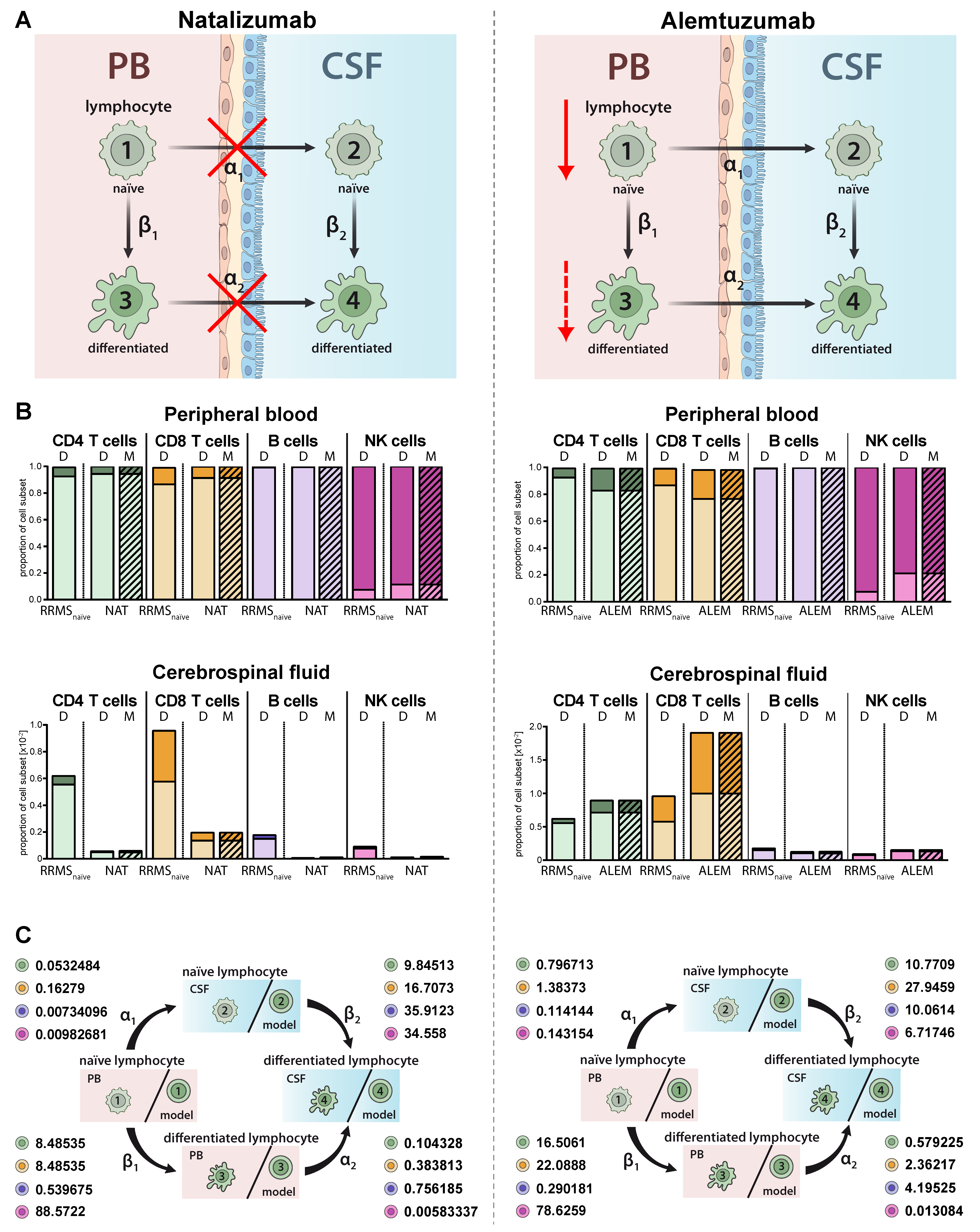 Ijms 21 02046 g004 Ijms 21 02046 g004