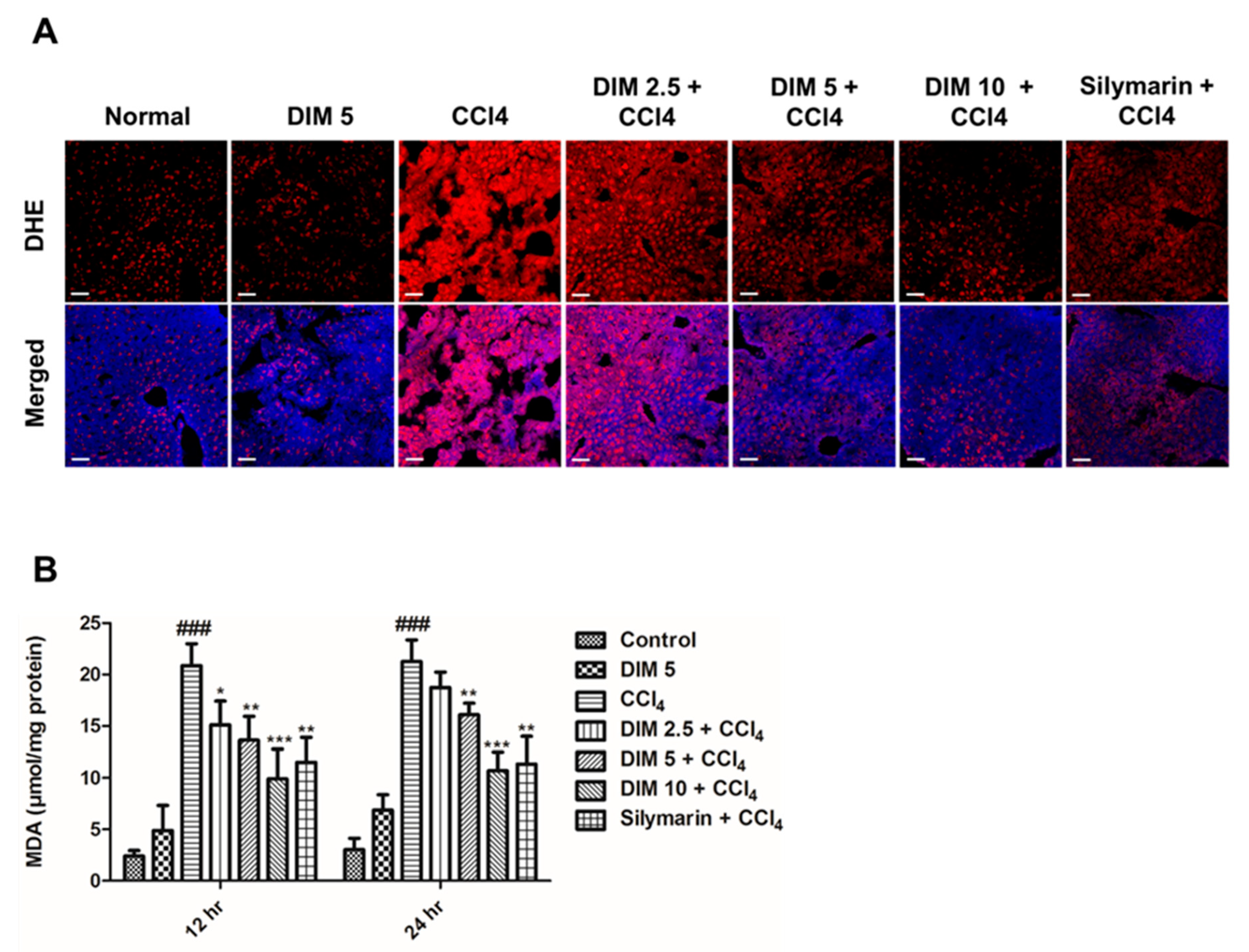 Ijms 21 02048 g003 Ijms 21 02048 g003