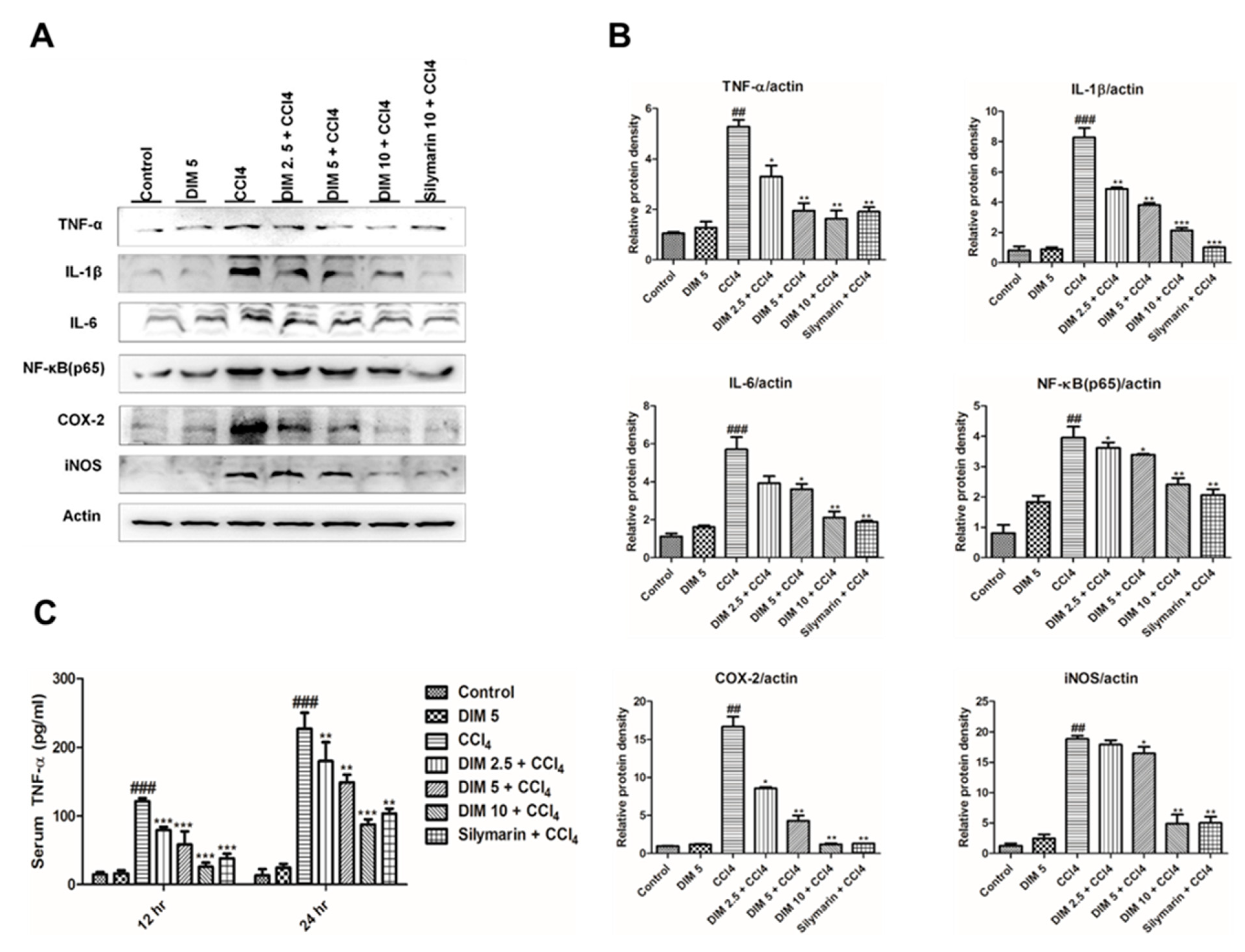 Ijms 21 02048 g005 Ijms 21 02048 g005