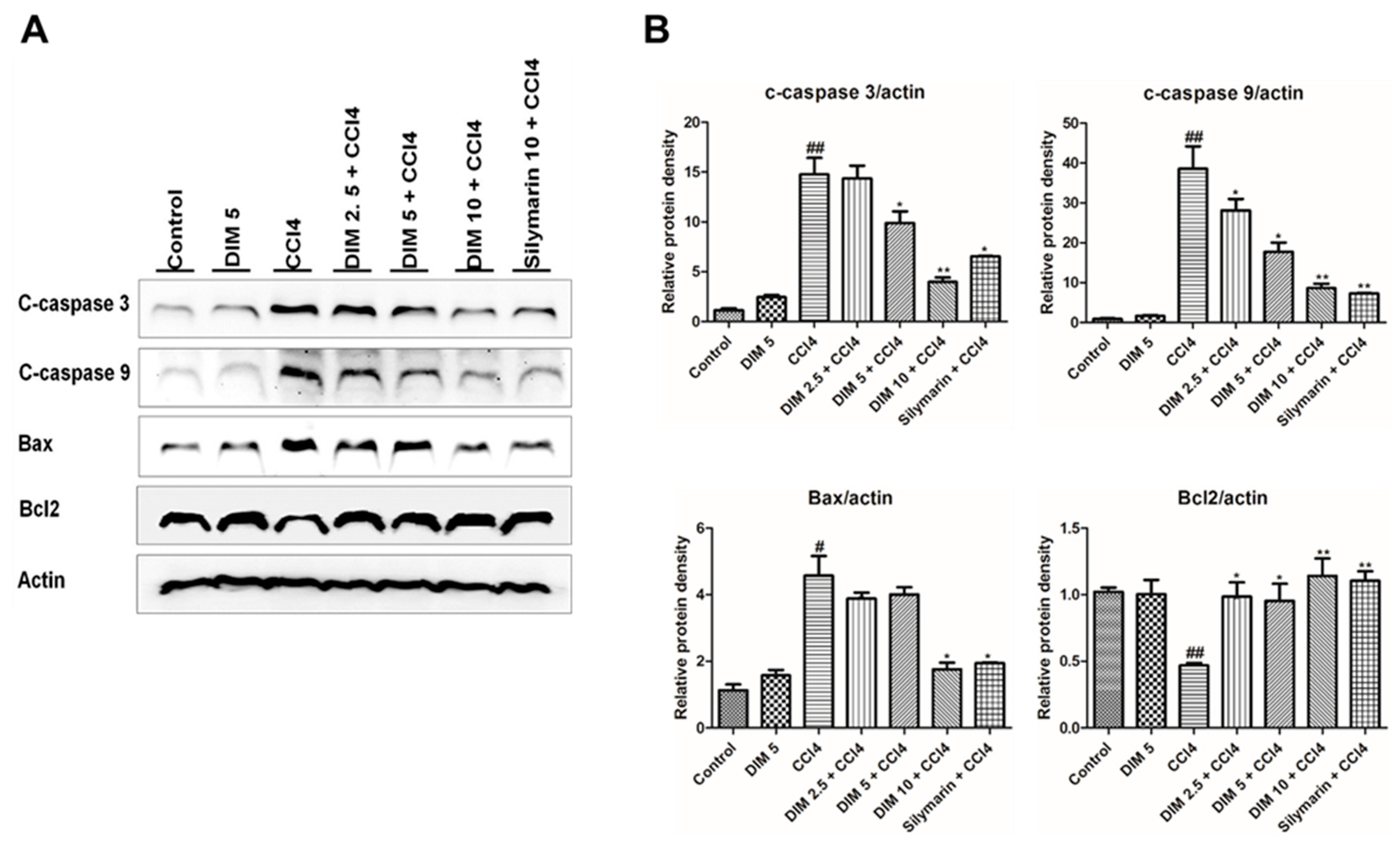Ijms 21 02048 g006 Ijms 21 02048 g006