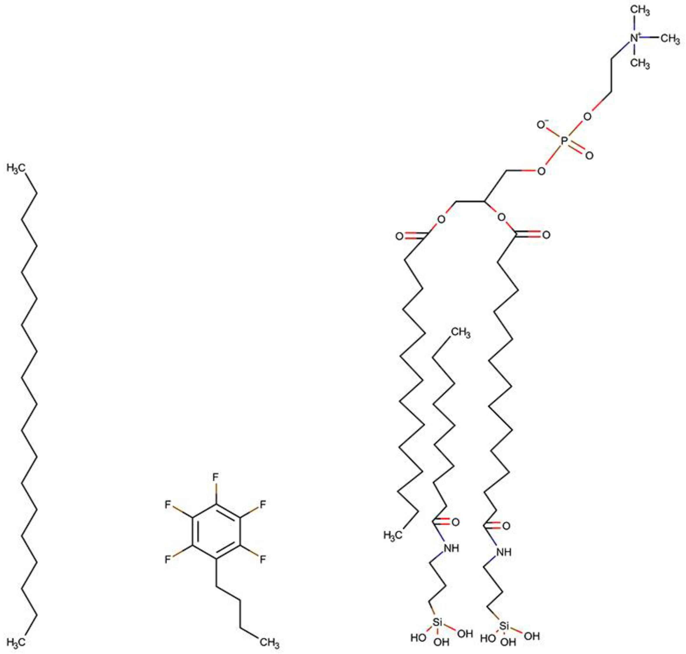 Ijms 21 02053 g005 Ijms 21 02053 g005