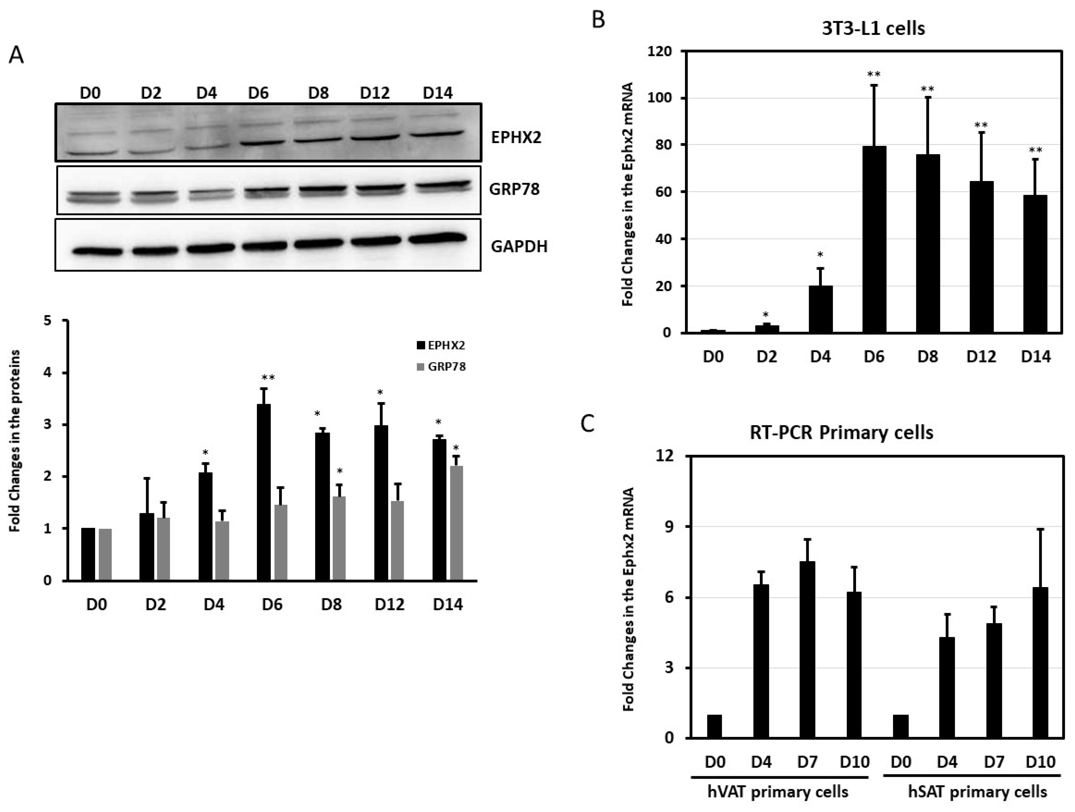 Ijms 21 02056 g003 Ijms 21 02056 g003