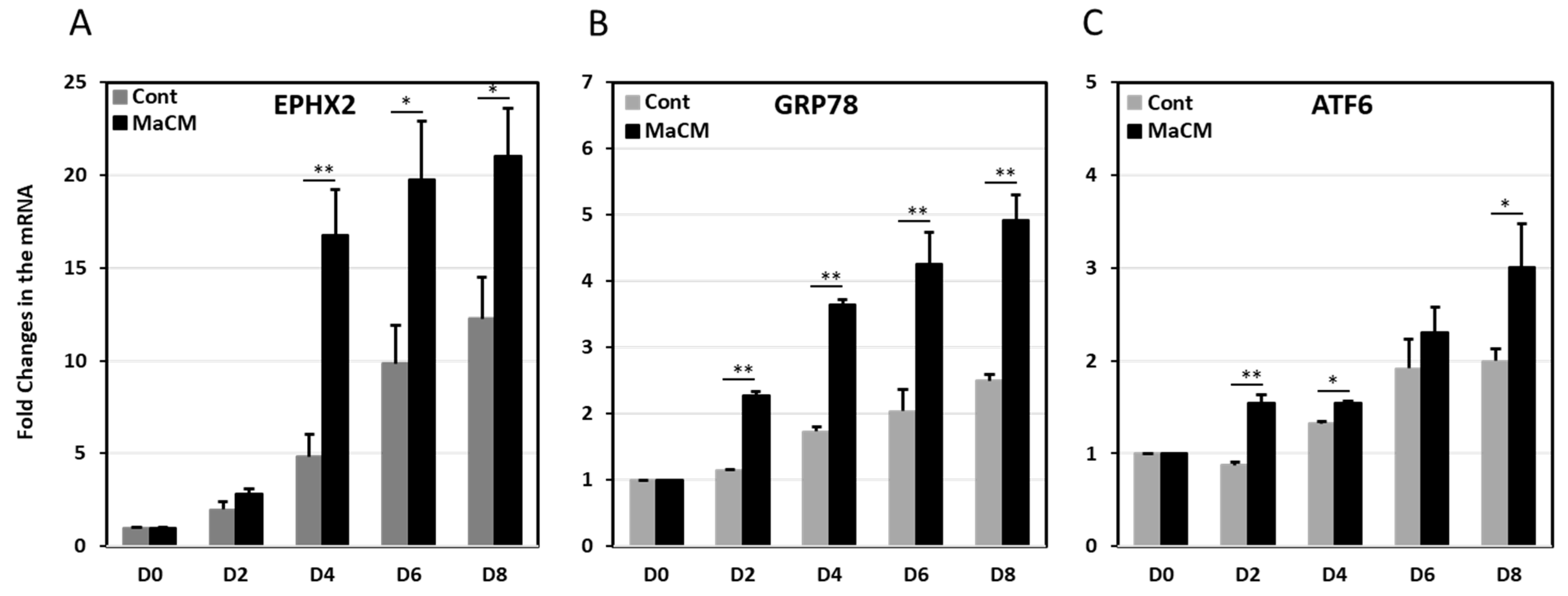 Ijms 21 02056 g005 Ijms 21 02056 g005