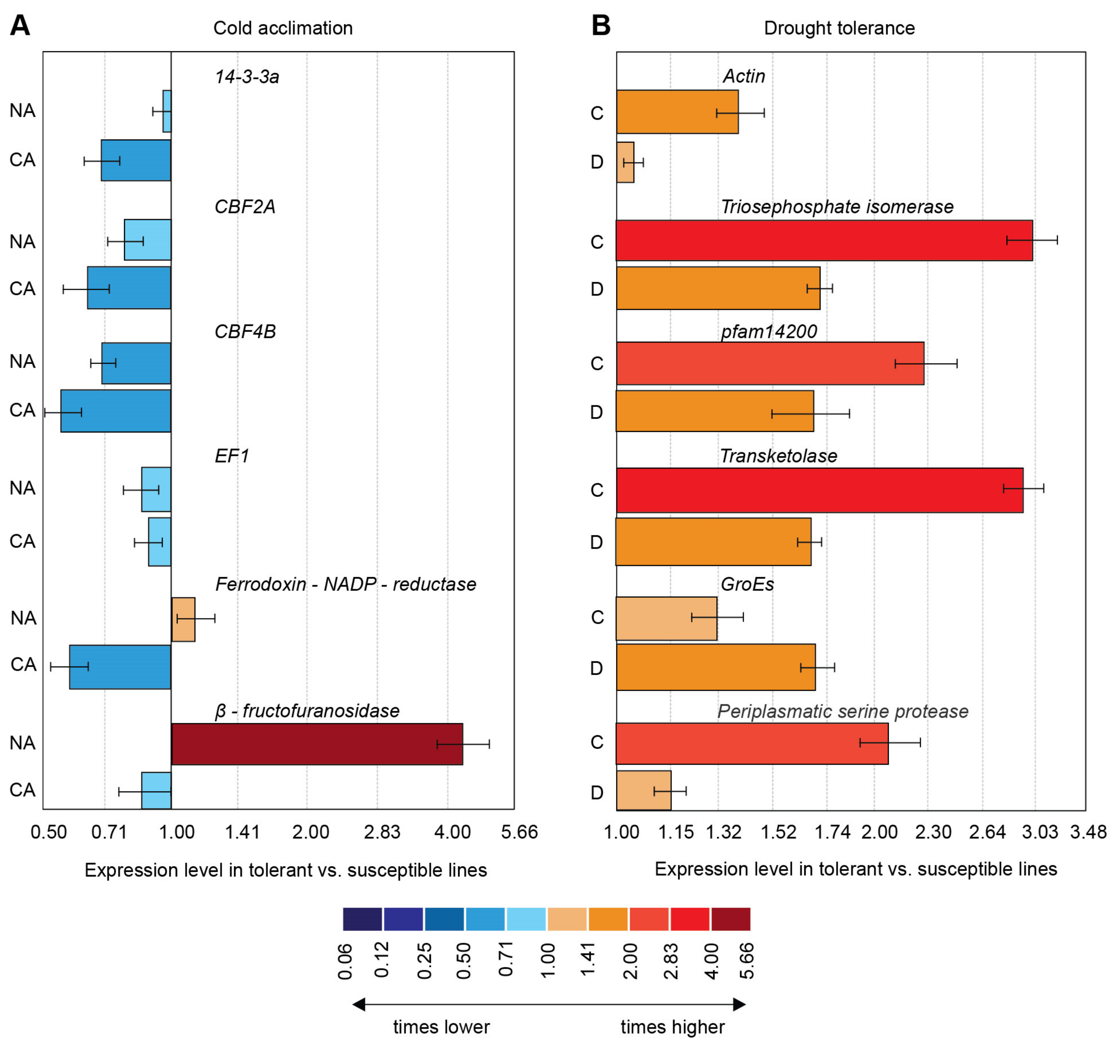 IJMS Free Full Text Candidate Genes for Freezing and Drought