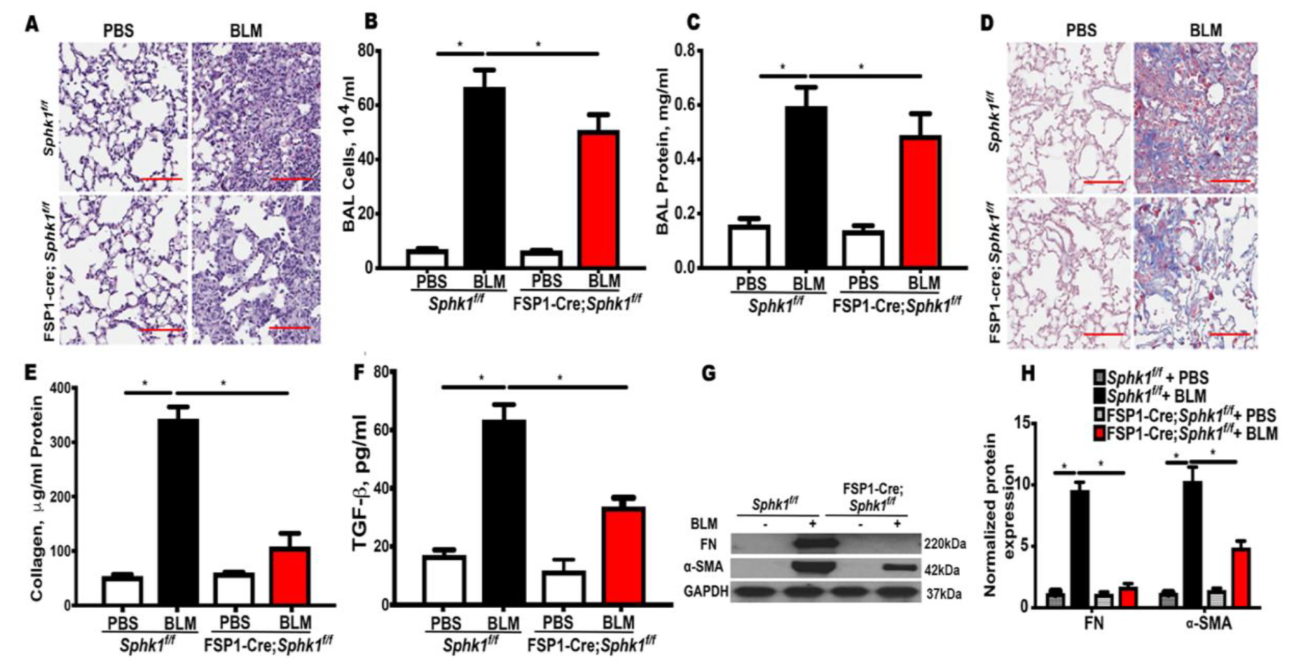 Ijms 21 02064 g001 Ijms 21 02064 g001