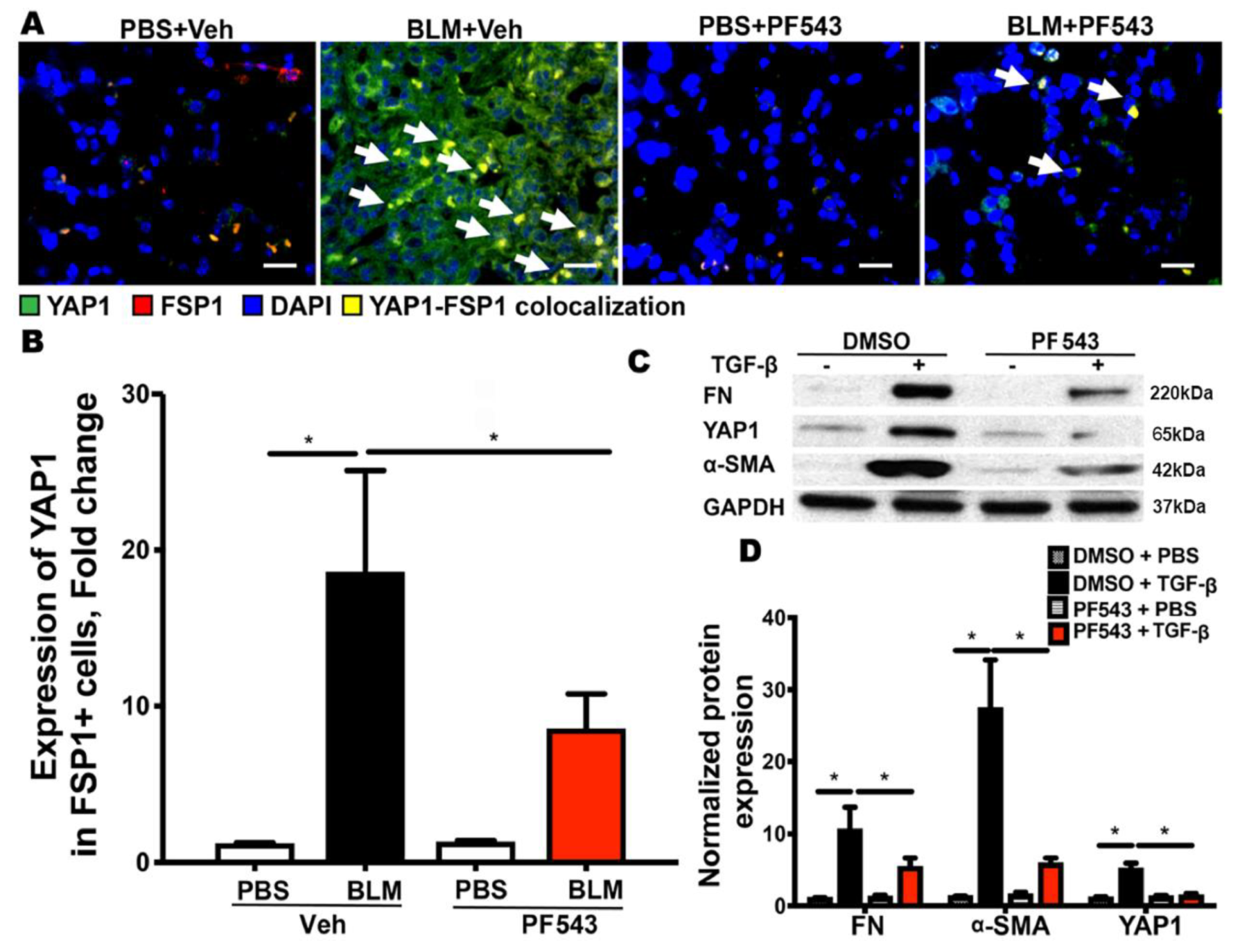 Ijms 21 02064 g005 Ijms 21 02064 g005
