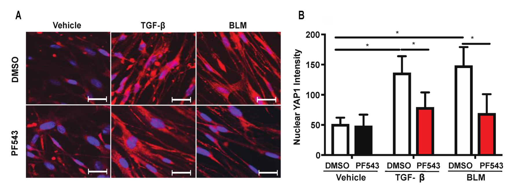Ijms 21 02064 g007 Ijms 21 02064 g007